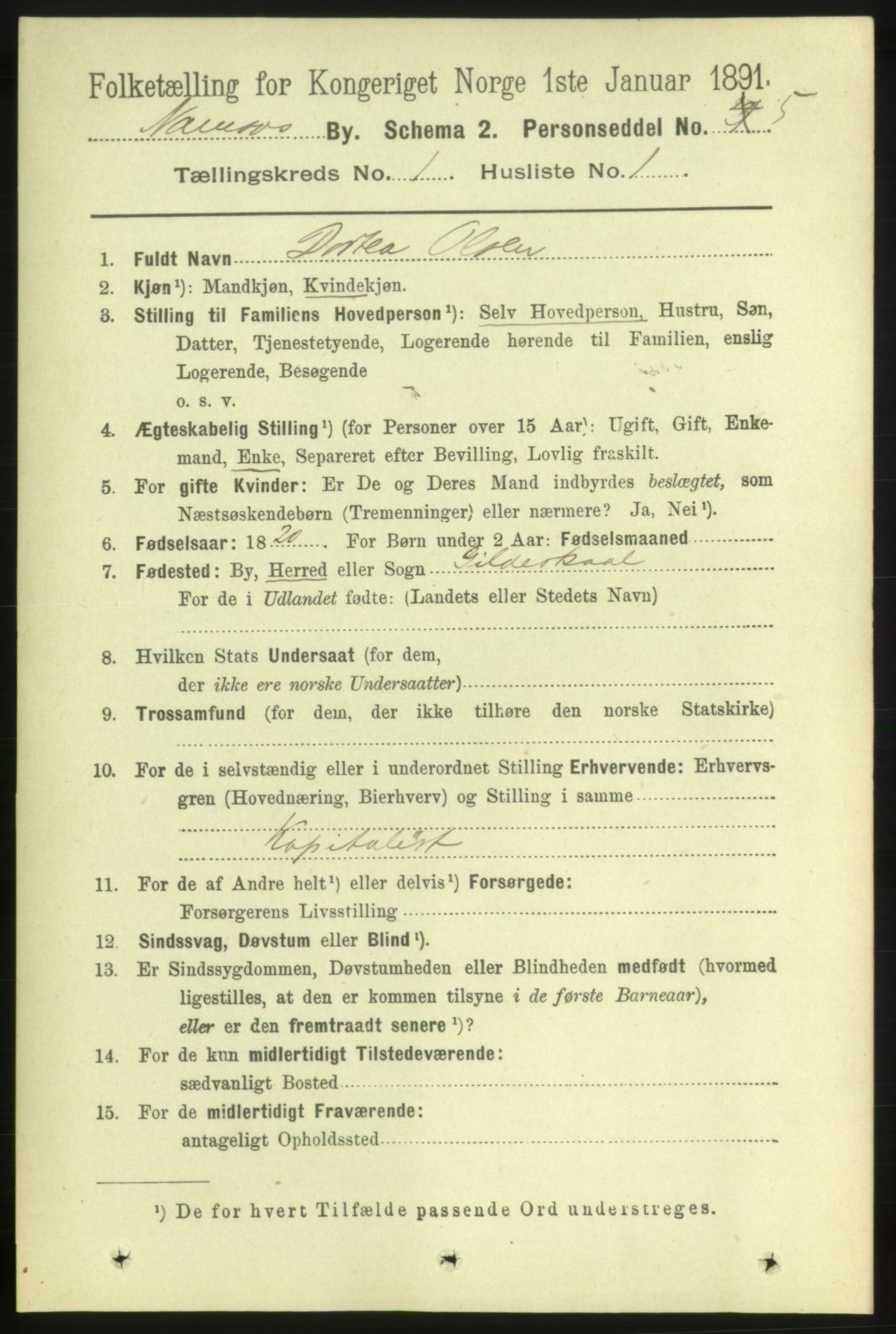 RA, 1891 census for 1703 Namsos, 1891, p. 20