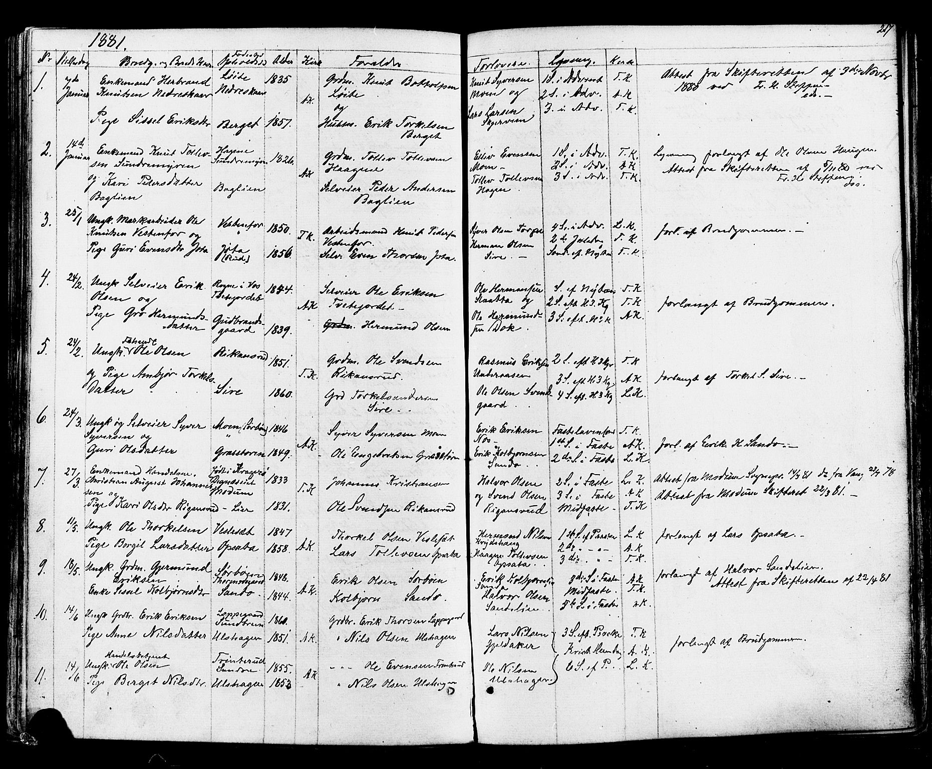 Ål kirkebøker, AV/SAKO-A-249/F/Fa/L0007: Parish register (official) no. I 7, 1865-1881, p. 217