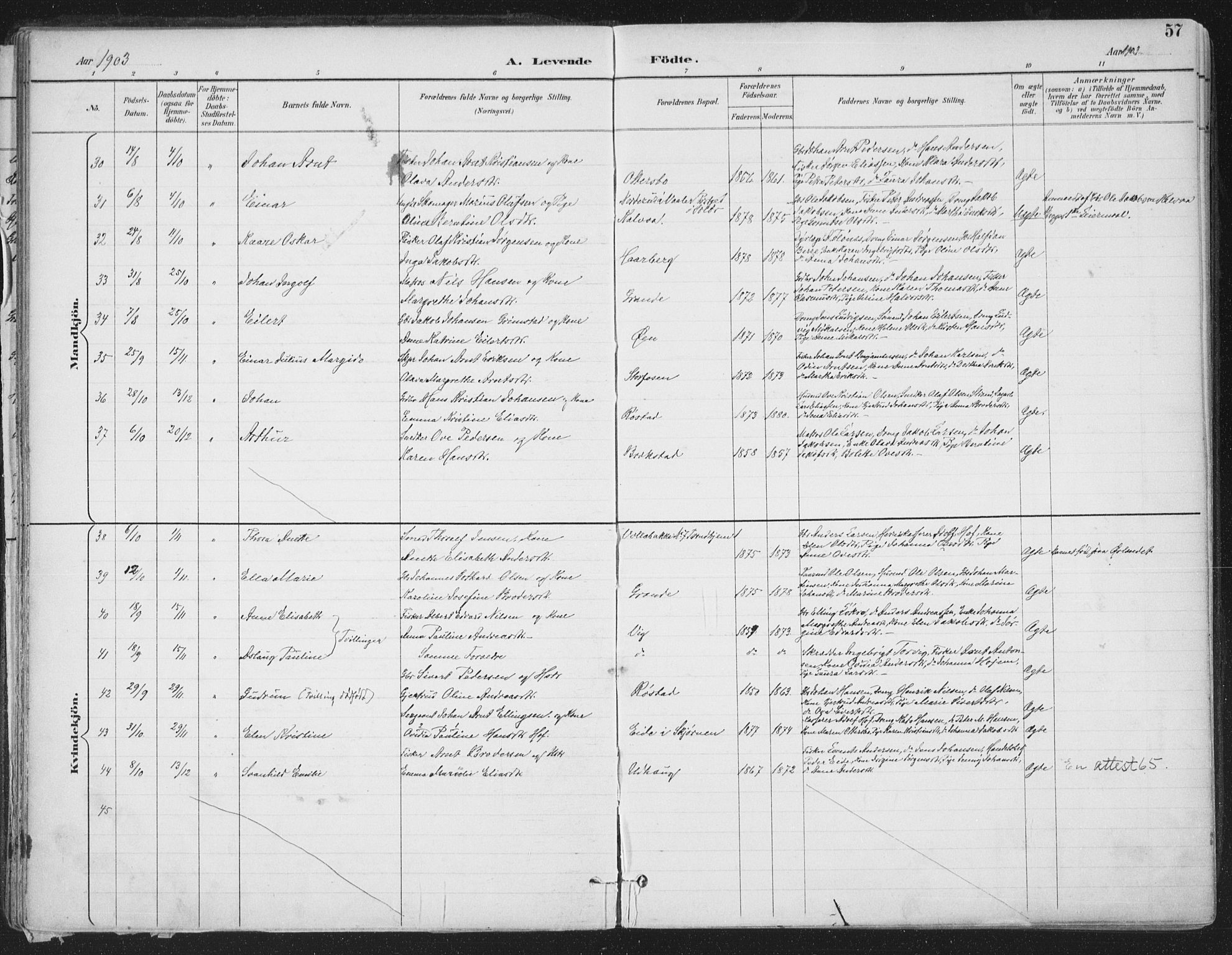 Ministerialprotokoller, klokkerbøker og fødselsregistre - Sør-Trøndelag, AV/SAT-A-1456/659/L0743: Parish register (official) no. 659A13, 1893-1910, p. 57