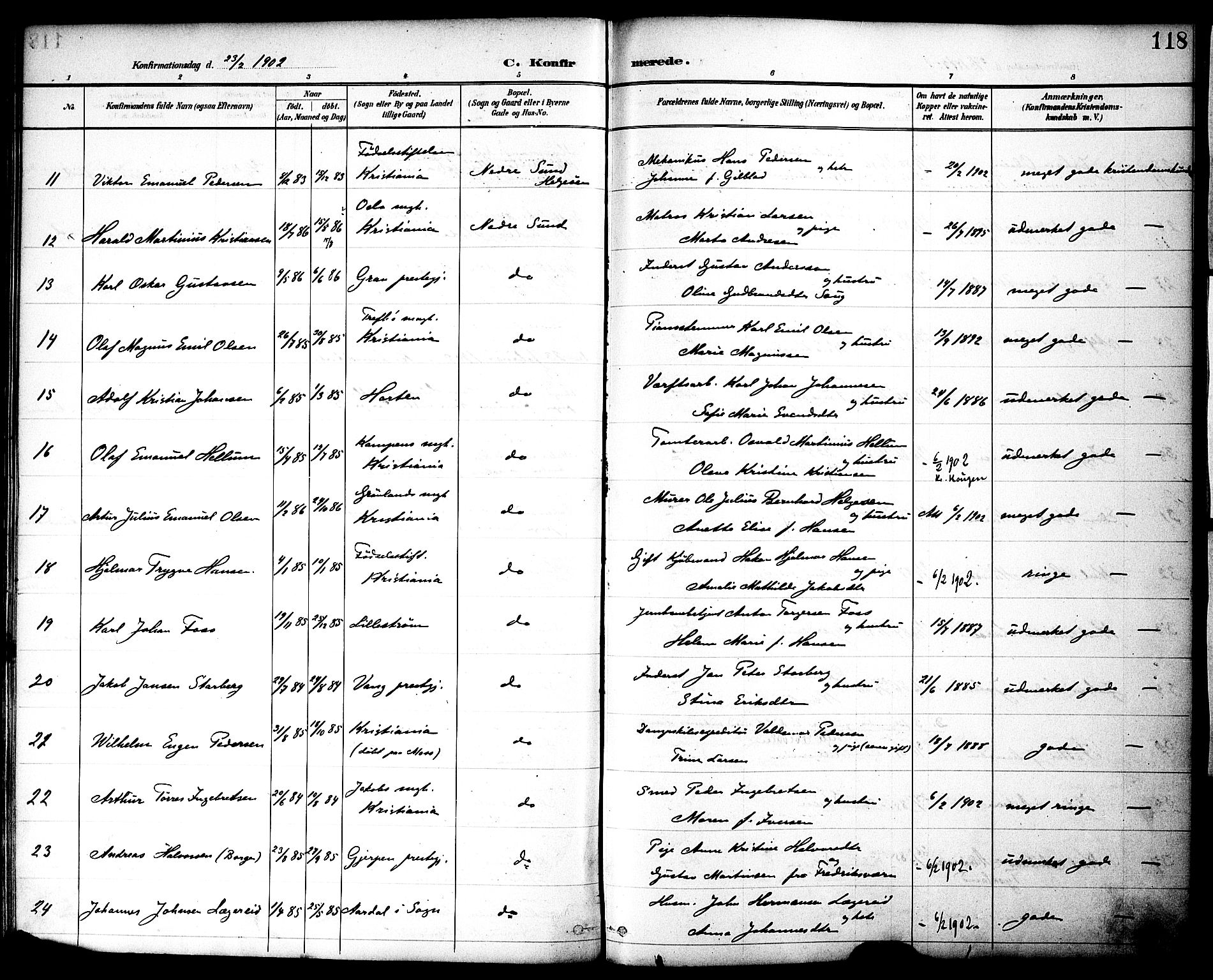 Nes prestekontor, Hedmark, AV/SAH-PREST-020/K/Ka/L0010: Parish register (official) no. 10, 1887-1905, p. 118