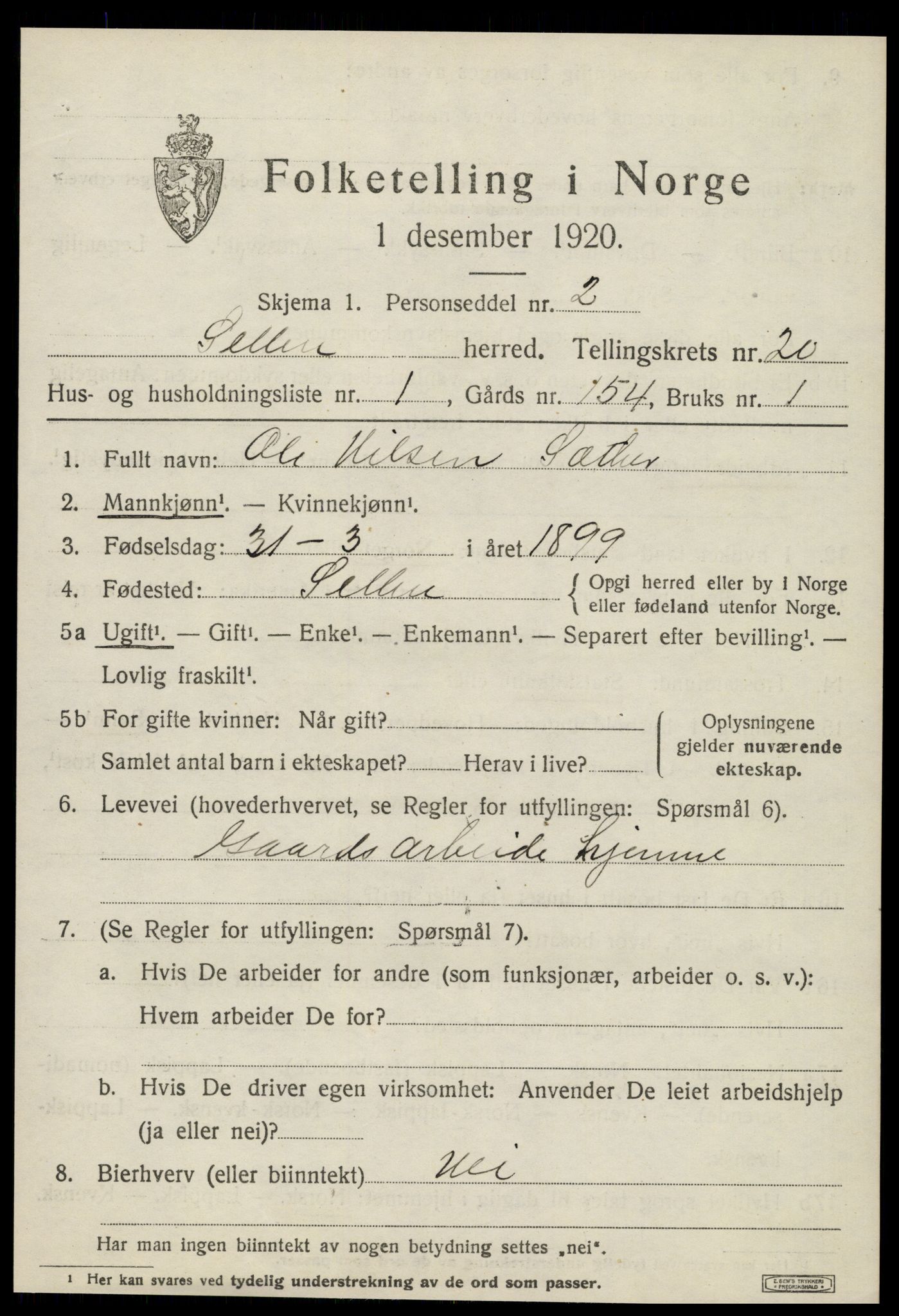 SAT, 1920 census for Selbu, 1920, p. 10210