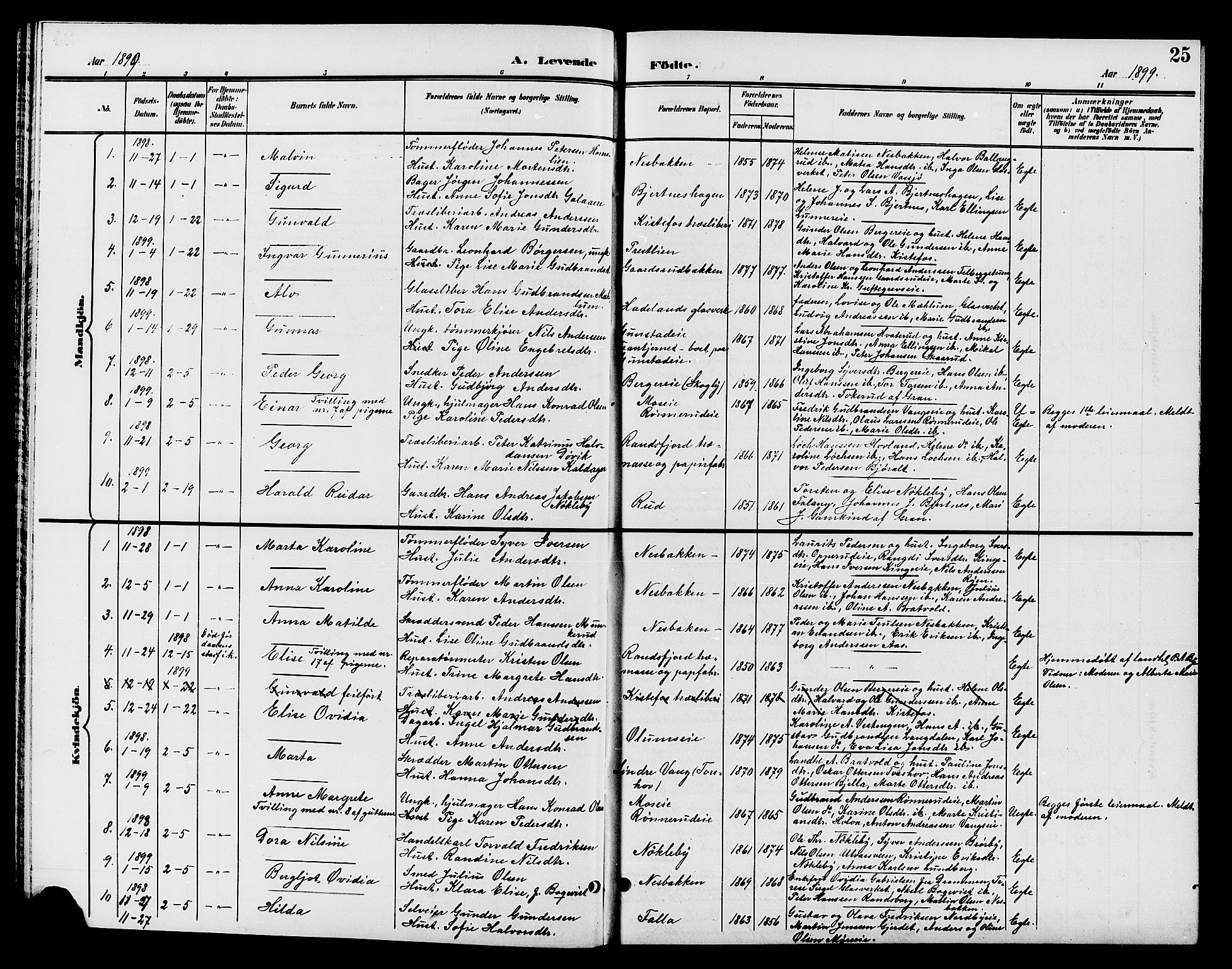 Jevnaker prestekontor, SAH/PREST-116/H/Ha/Hab/L0002: Parish register (copy) no. 2, 1896-1906, p. 25