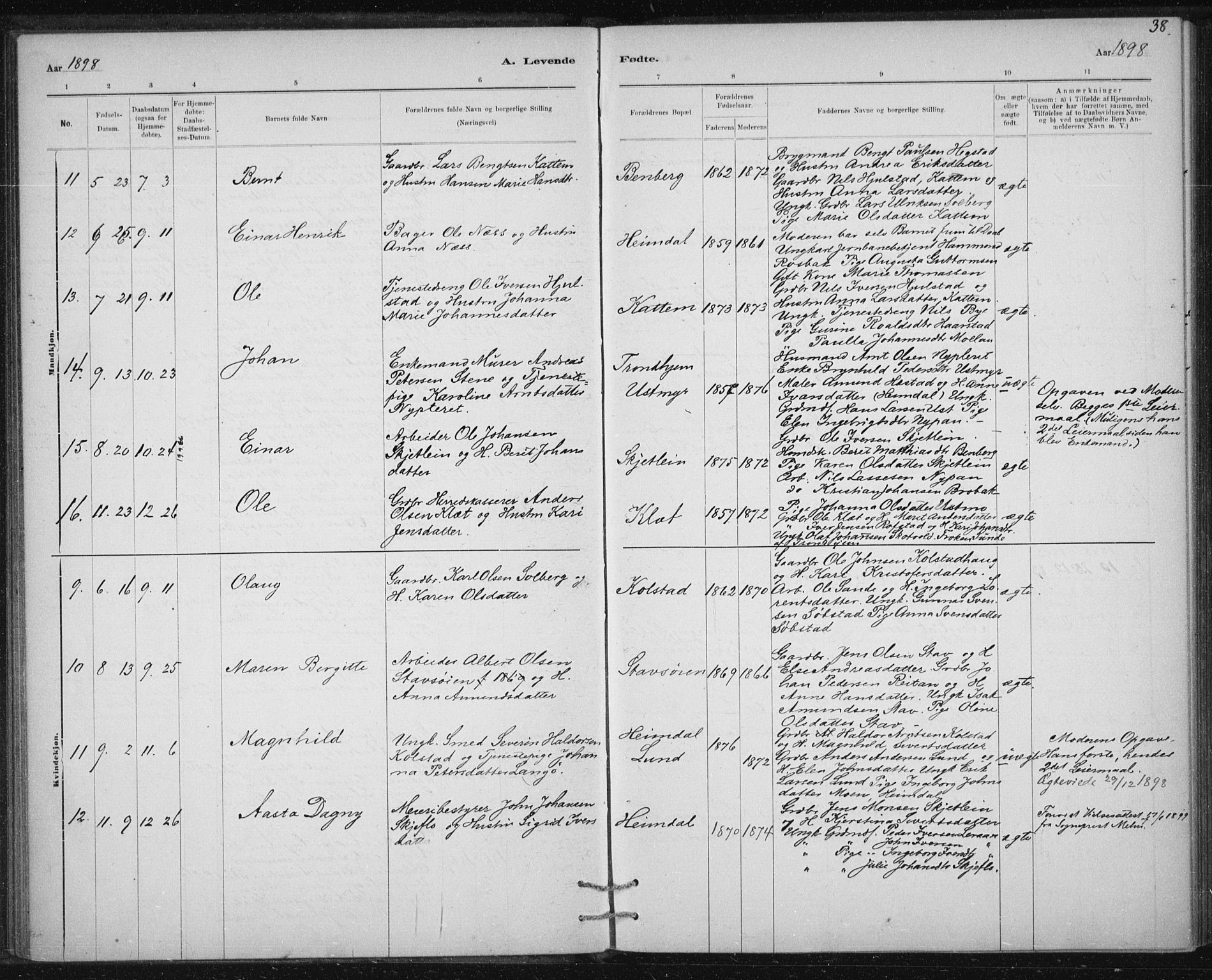 Ministerialprotokoller, klokkerbøker og fødselsregistre - Sør-Trøndelag, AV/SAT-A-1456/613/L0392: Parish register (official) no. 613A01, 1887-1906, p. 38