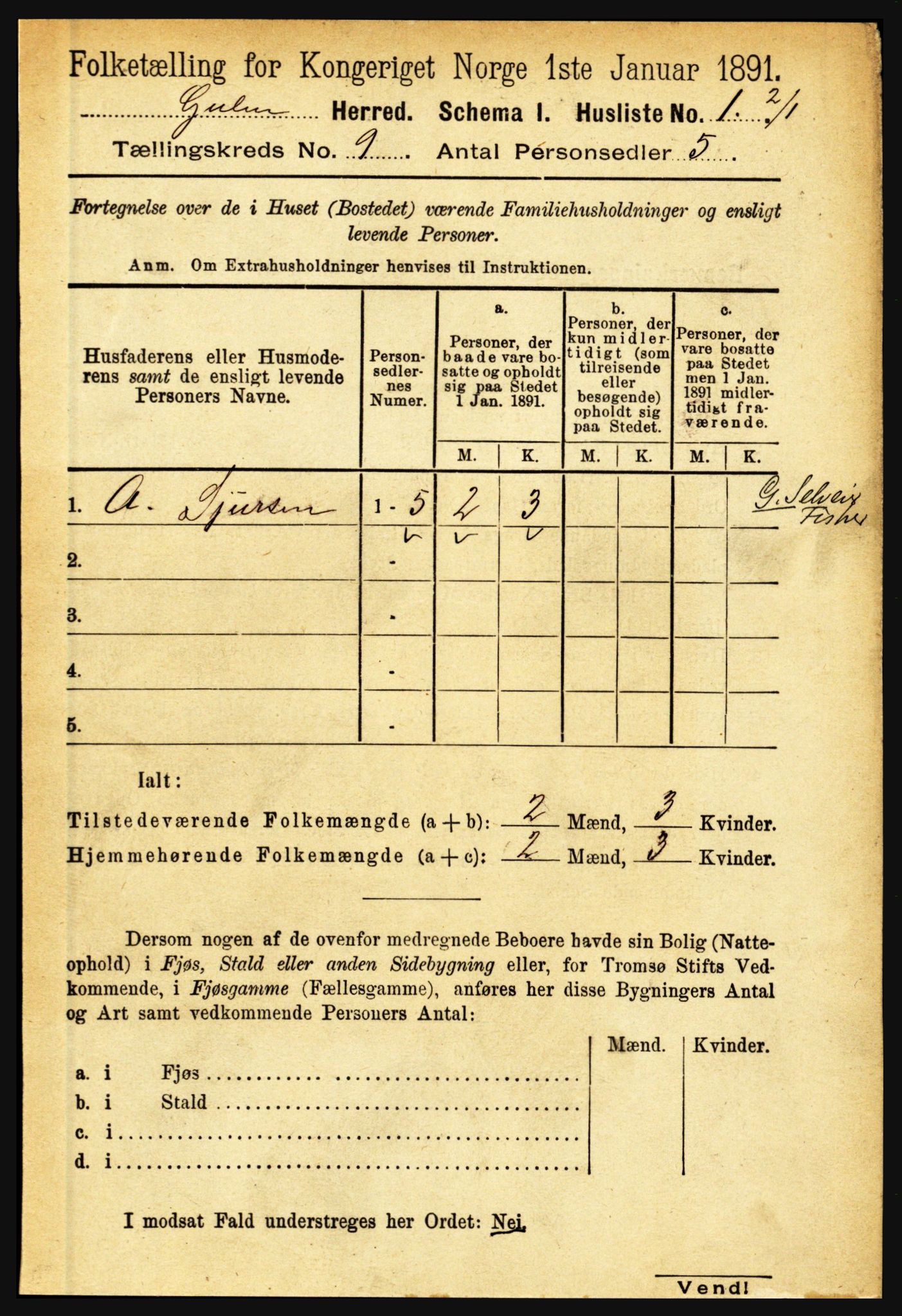 RA, 1891 census for 1411 Gulen, 1891, p. 2705