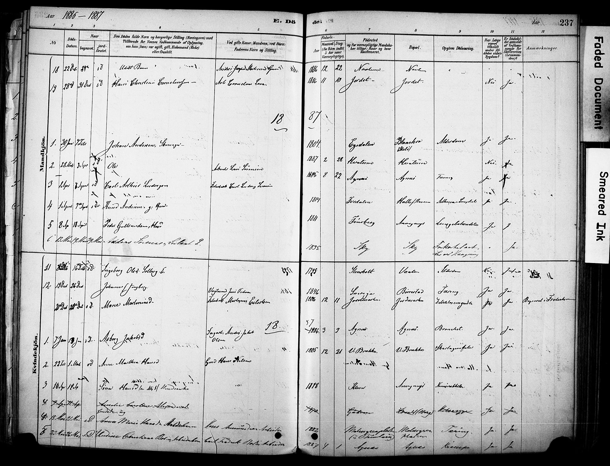 Brunlanes kirkebøker, AV/SAKO-A-342/F/Fc/L0001: Parish register (official) no. III 1, 1878-1899, p. 237