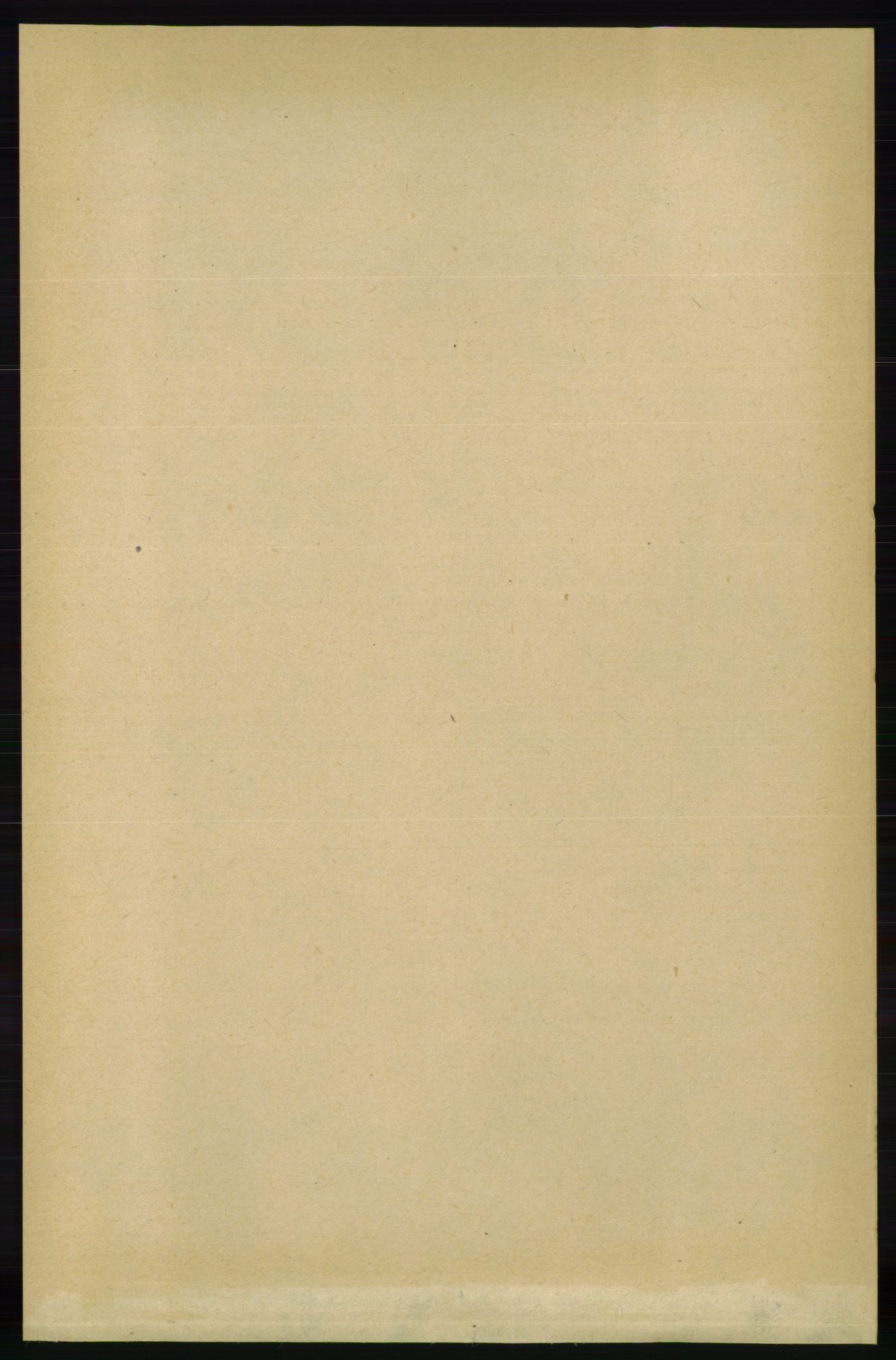 RA, 1891 Census for 0928 Birkenes, 1891, p. 845