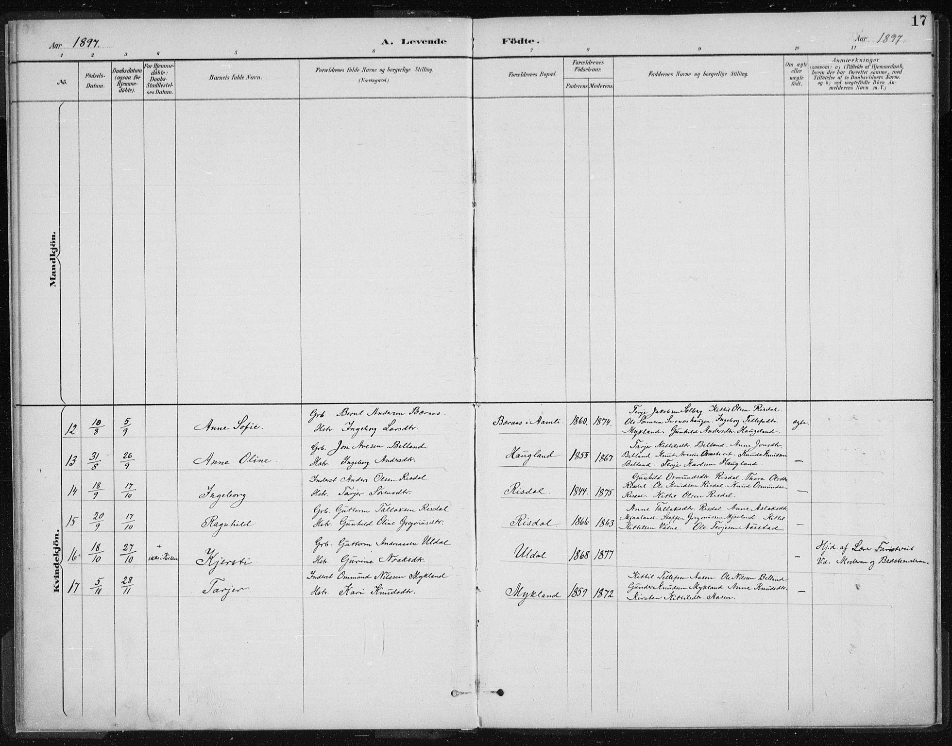 Herefoss sokneprestkontor, AV/SAK-1111-0019/F/Fa/Fac/L0002: Parish register (official) no. A 2, 1887-1915, p. 17