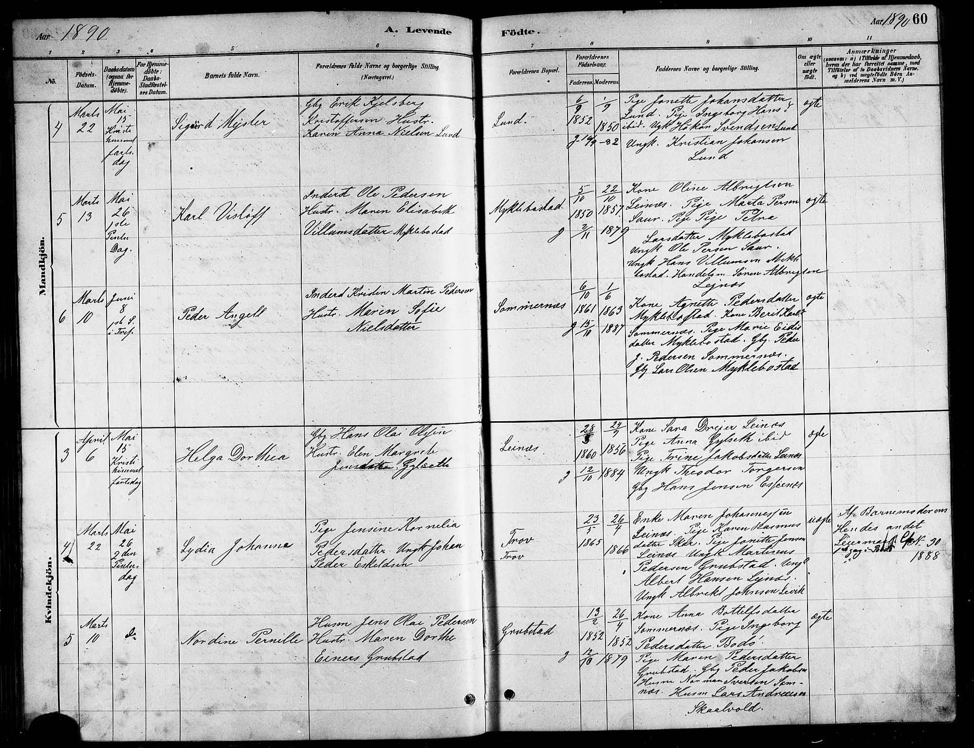 Ministerialprotokoller, klokkerbøker og fødselsregistre - Nordland, AV/SAT-A-1459/857/L0828: Parish register (copy) no. 857C03, 1879-1908, p. 60