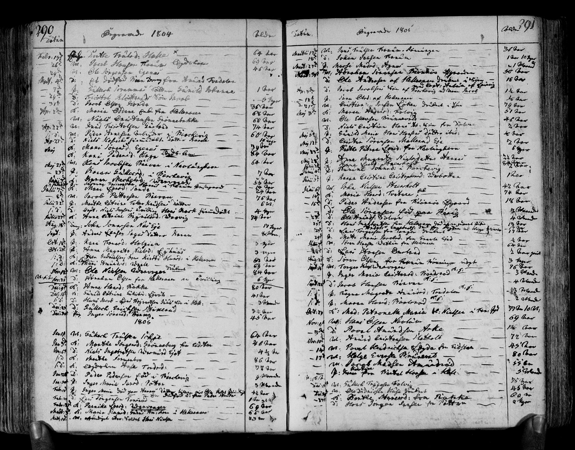 Brunlanes kirkebøker, SAKO/A-342/F/Fa/L0002: Parish register (official) no. I 2, 1802-1834, p. 290-291