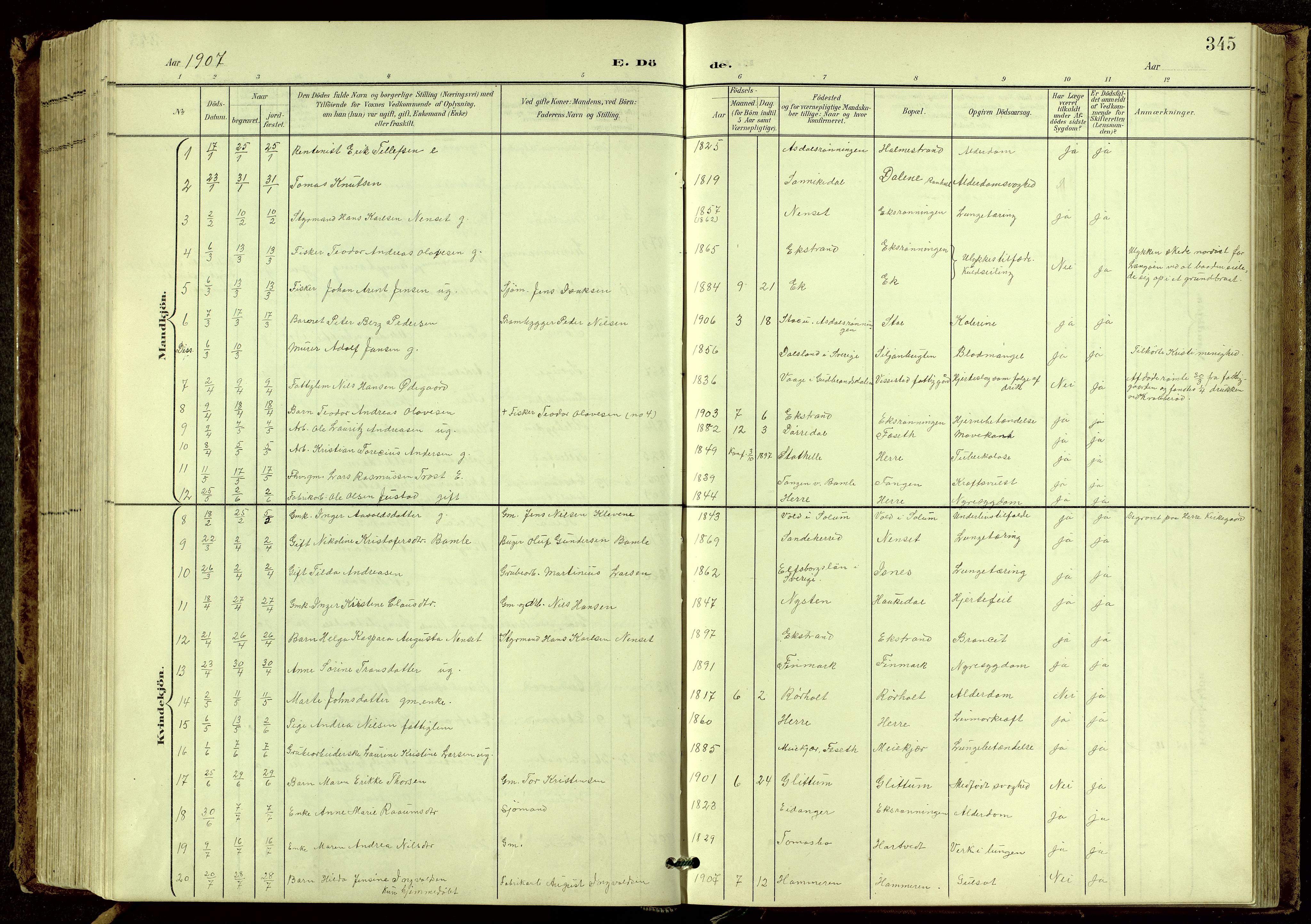 Bamble kirkebøker, SAKO/A-253/G/Ga/L0010: Parish register (copy) no. I 10, 1901-1919, p. 345