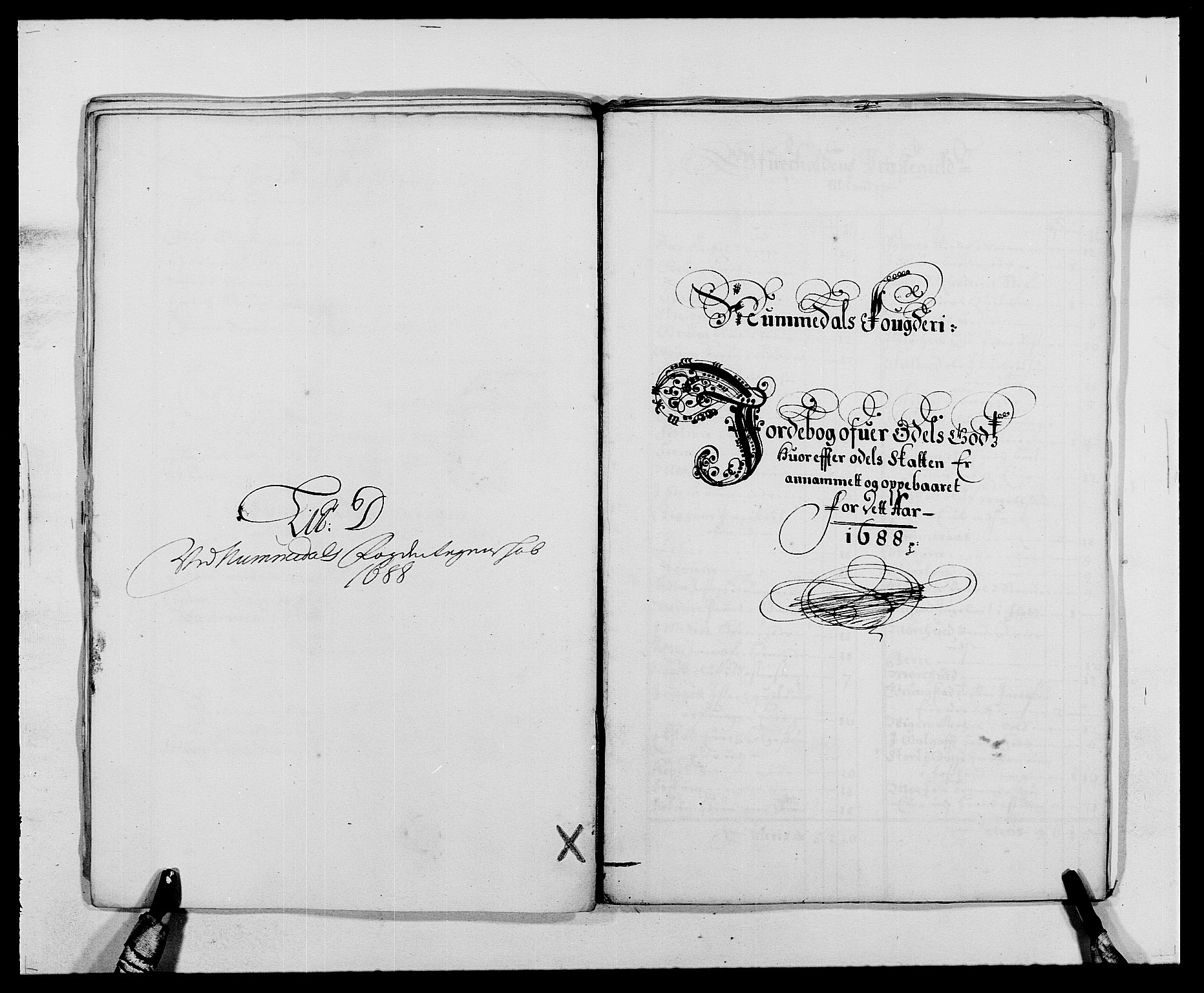 Rentekammeret inntil 1814, Reviderte regnskaper, Fogderegnskap, AV/RA-EA-4092/R64/L4422: Fogderegnskap Namdal, 1687-1689, p. 113