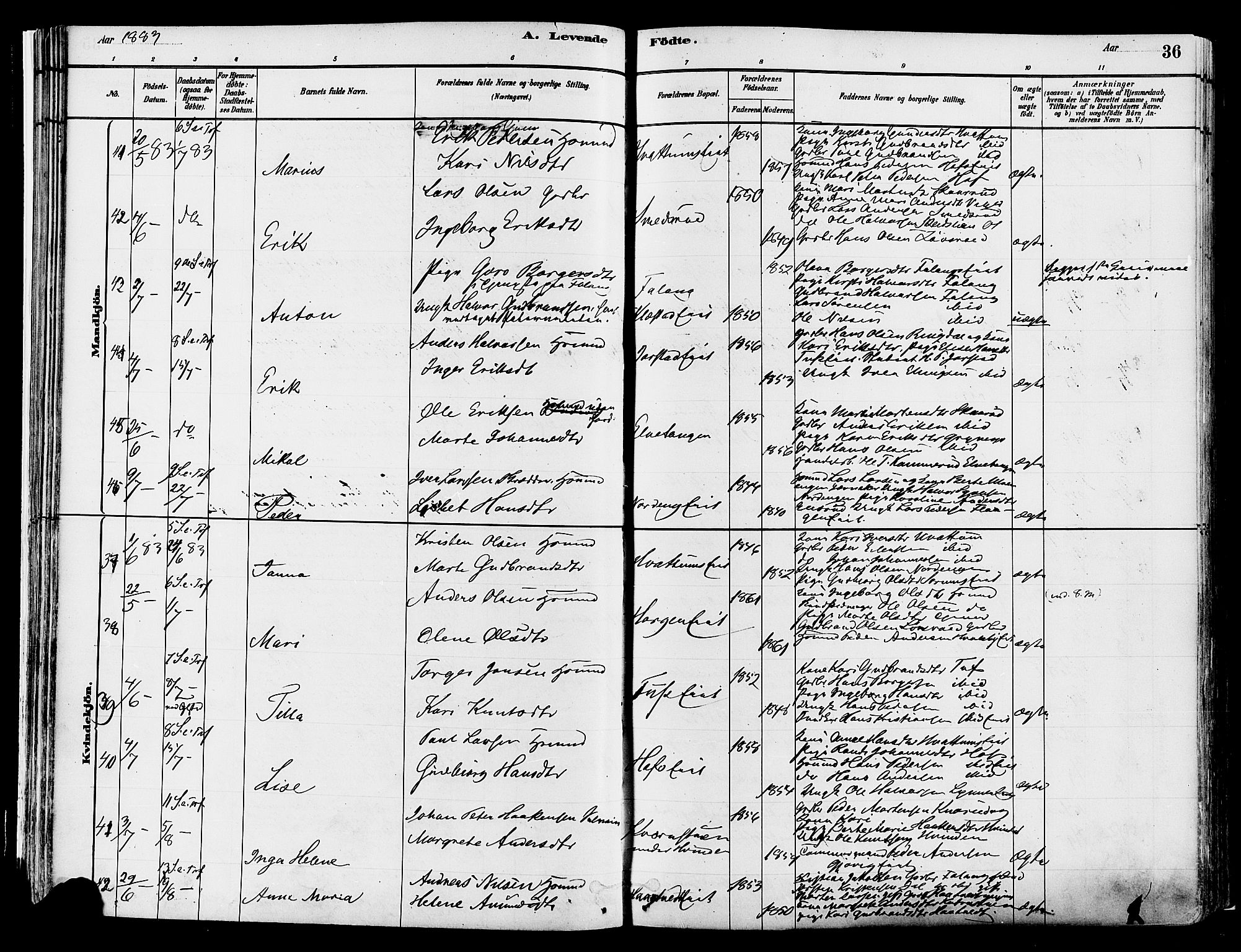 Gran prestekontor, SAH/PREST-112/H/Ha/Haa/L0014: Parish register (official) no. 14, 1880-1889, p. 36