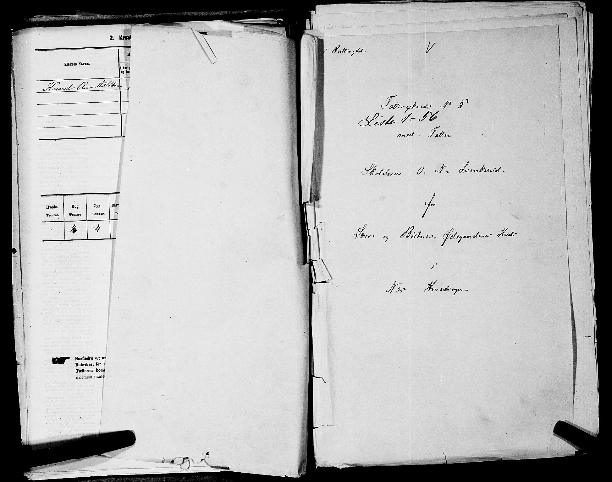 SAKO, 1875 census for 0616P Nes, 1875, p. 855