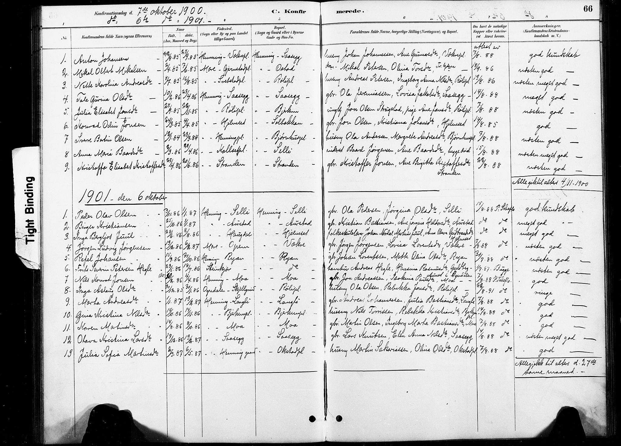 Ministerialprotokoller, klokkerbøker og fødselsregistre - Nord-Trøndelag, SAT/A-1458/738/L0364: Parish register (official) no. 738A01, 1884-1902, p. 66