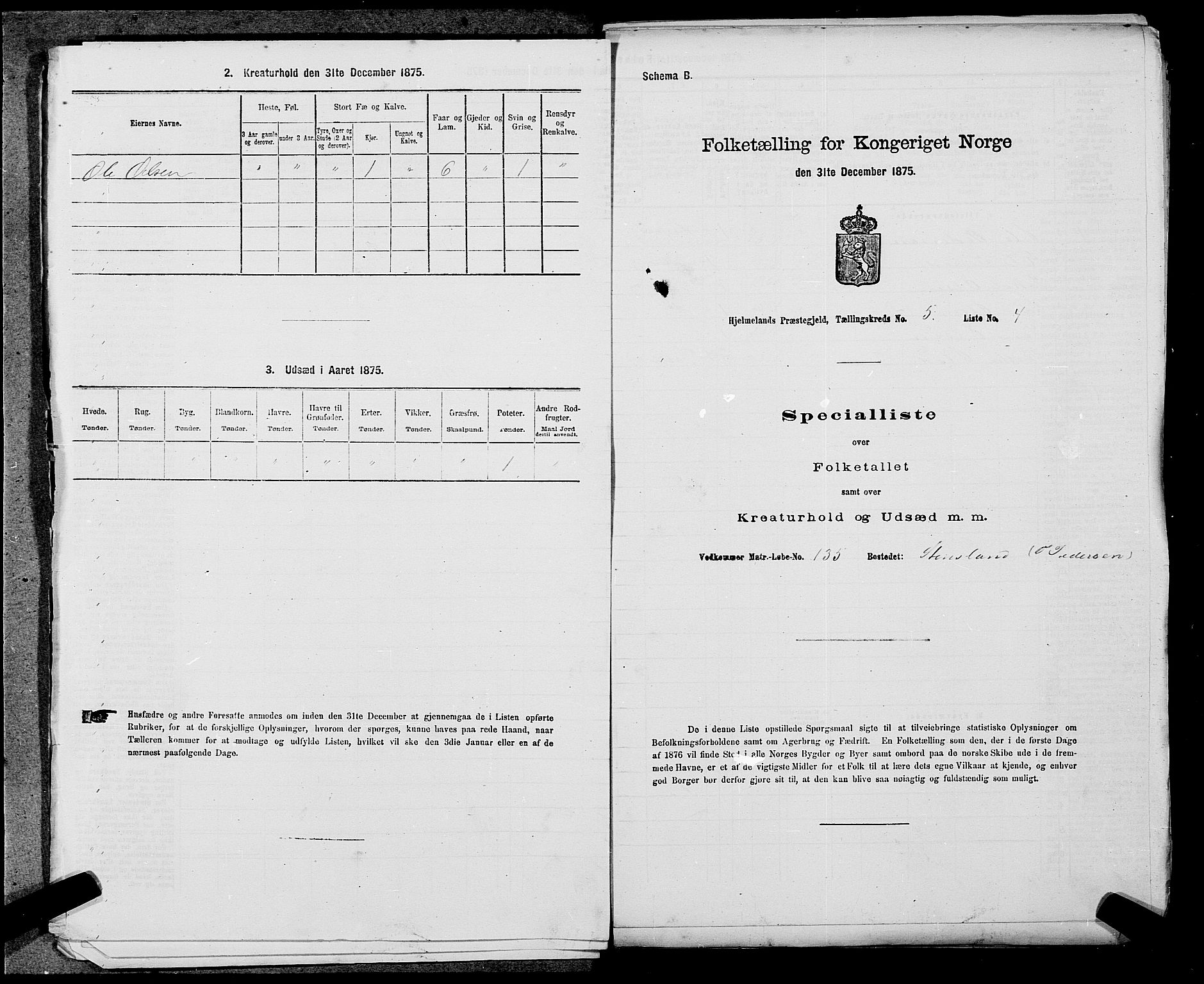 SAST, 1875 census for 1133P Hjelmeland, 1875, p. 583