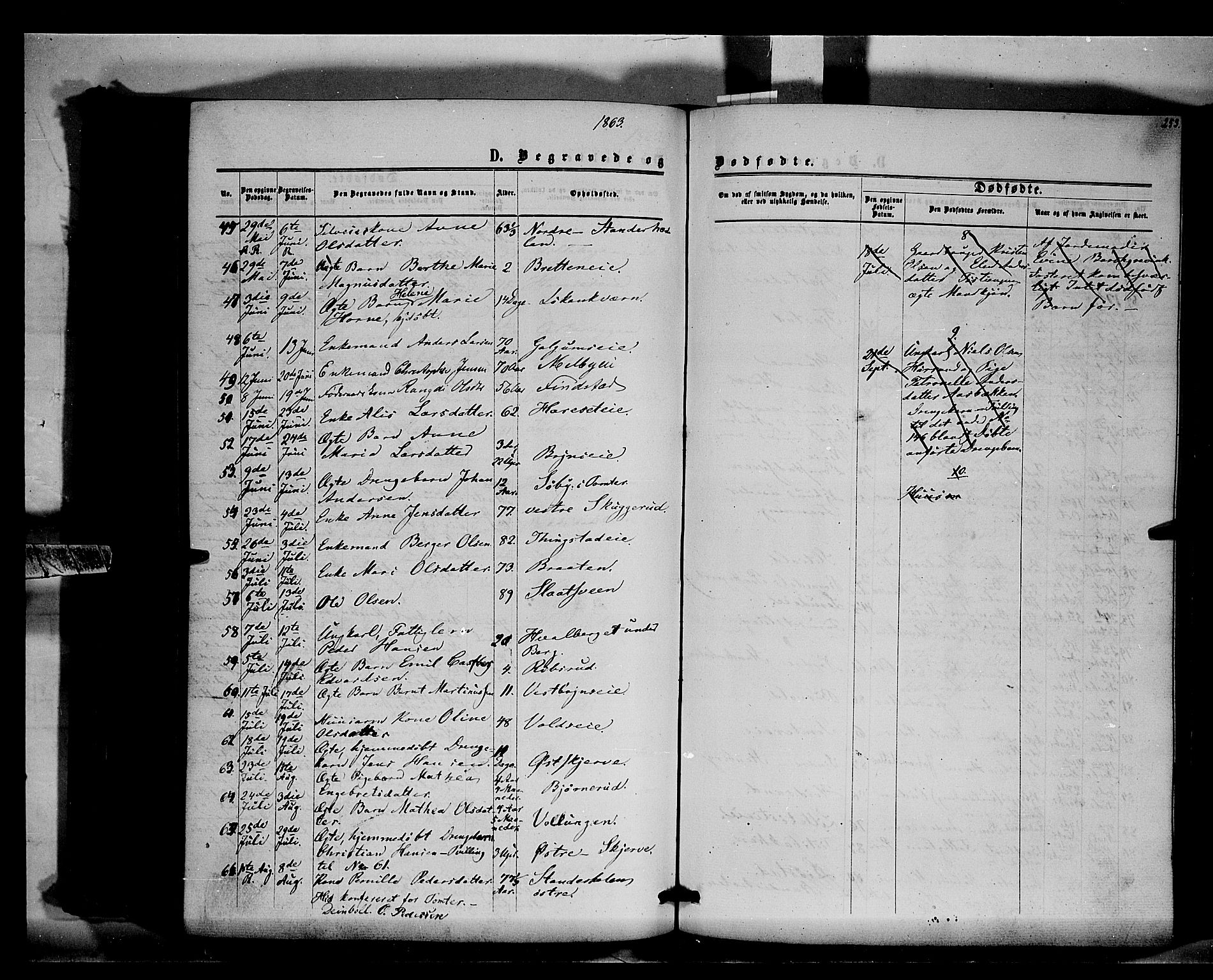 Romedal prestekontor, AV/SAH-PREST-004/K/L0005: Parish register (official) no. 5, 1862-1874, p. 253