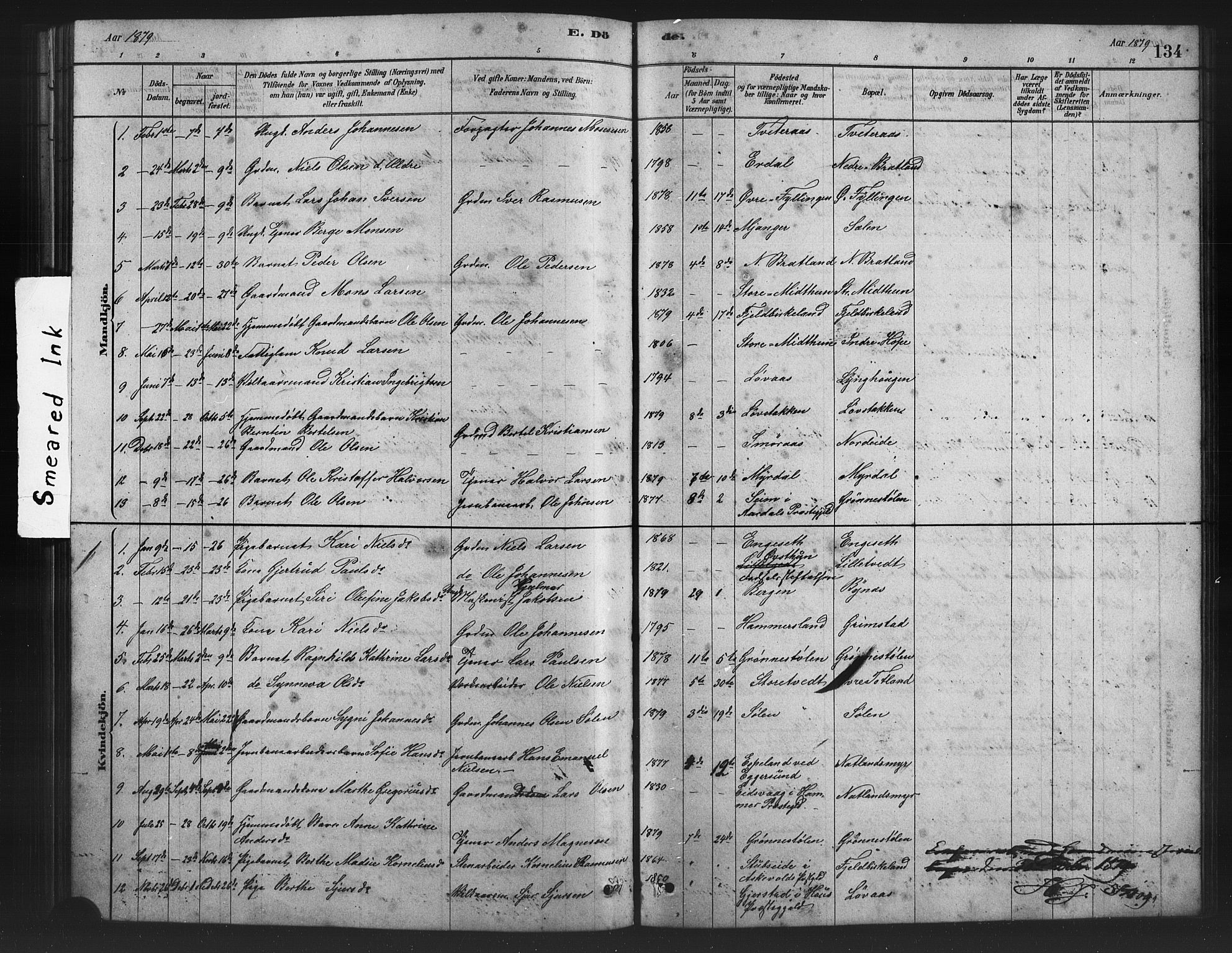 Birkeland Sokneprestembete, SAB/A-74601/H/Hab: Parish register (copy) no. A 3, 1877-1887, p. 134