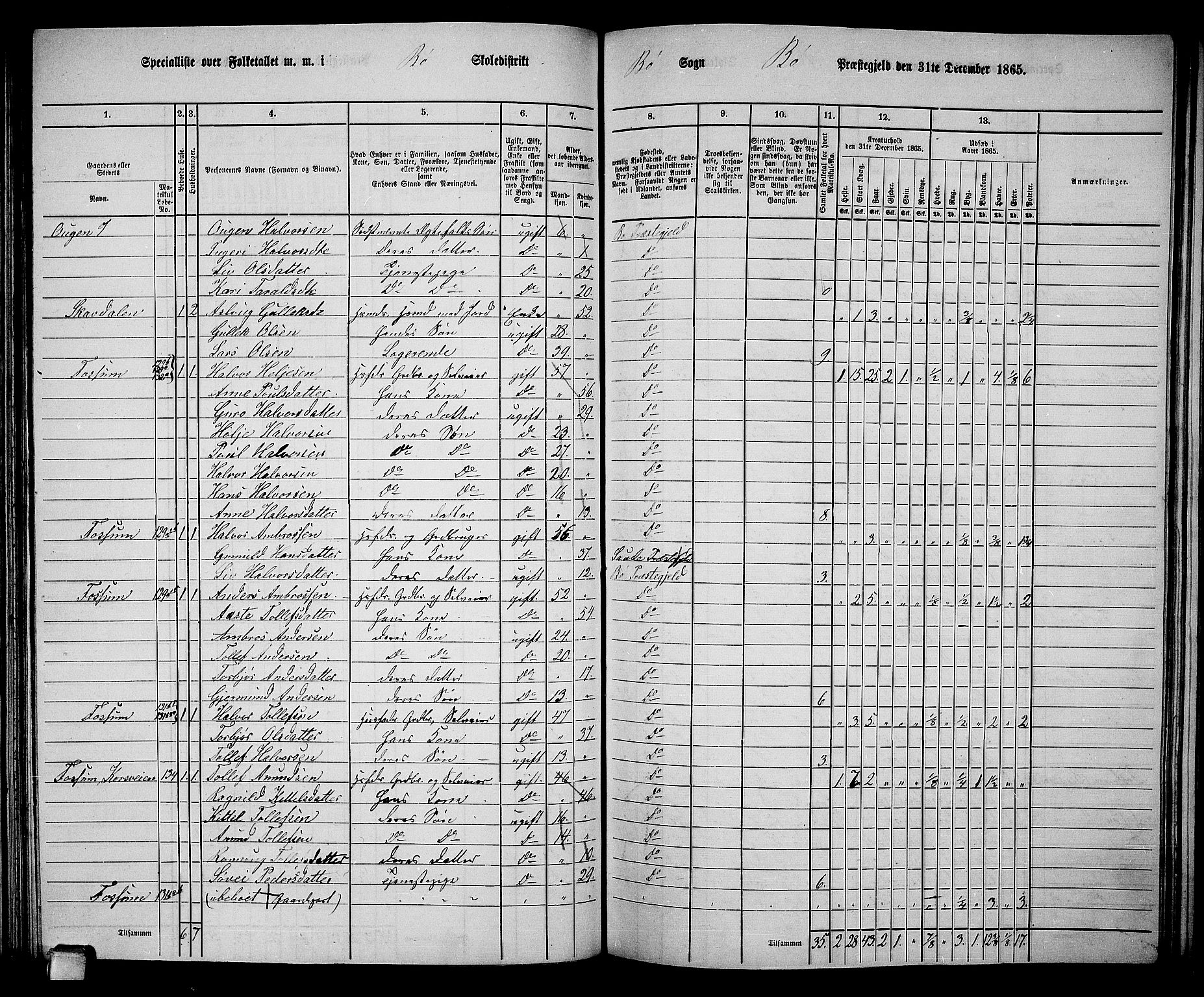 RA, 1865 census for Bø, 1865, p. 106