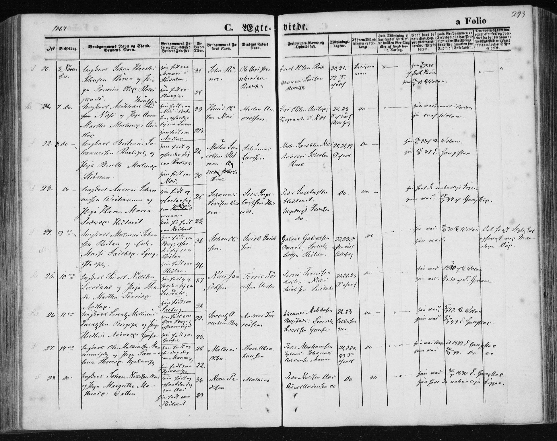 Ministerialprotokoller, klokkerbøker og fødselsregistre - Nord-Trøndelag, SAT/A-1458/730/L0283: Parish register (official) no. 730A08, 1855-1865, p. 293