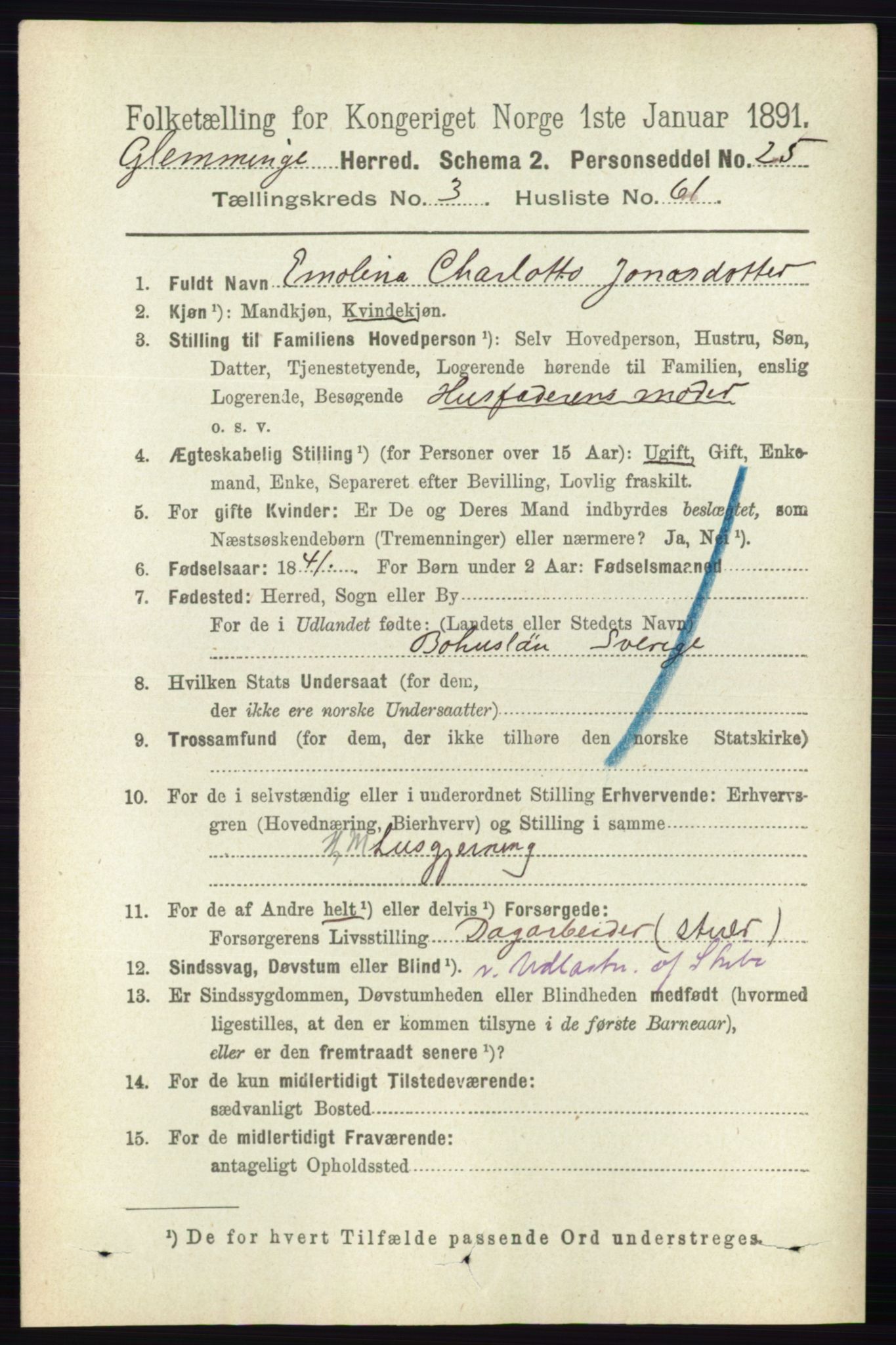 RA, 1891 census for 0132 Glemmen, 1891, p. 2491