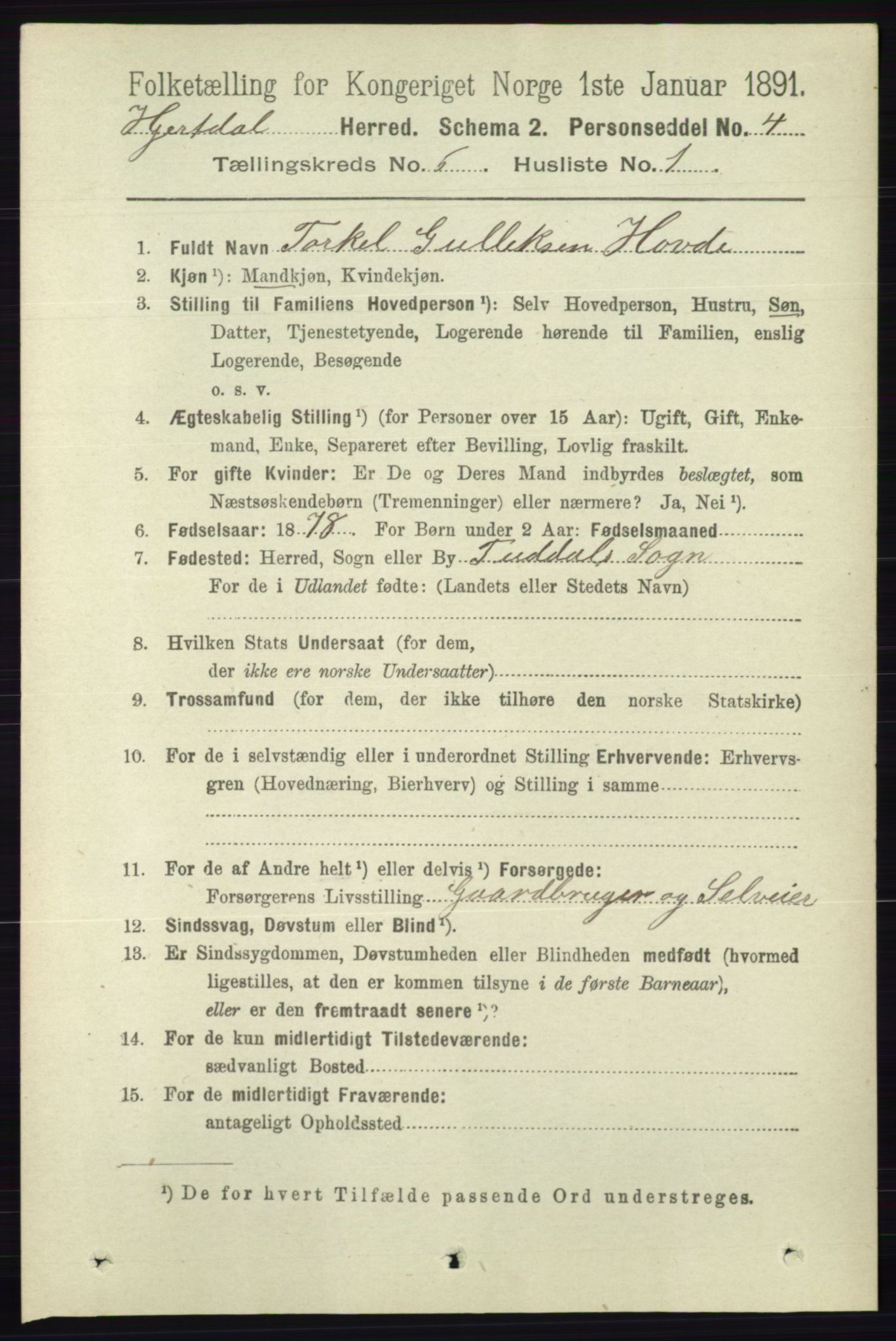 RA, 1891 census for 0827 Hjartdal, 1891, p. 2196