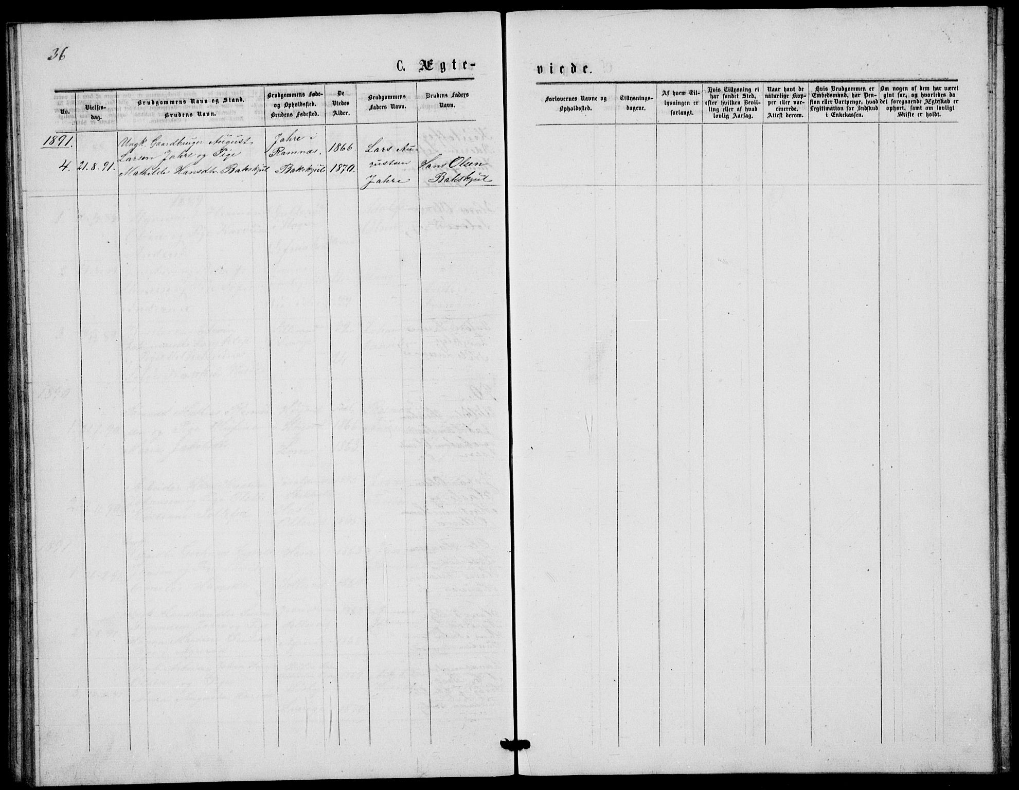 Våle kirkebøker, AV/SAKO-A-334/G/Gb/L0001: Parish register (copy) no. II 1, 1874-1891, p. 36