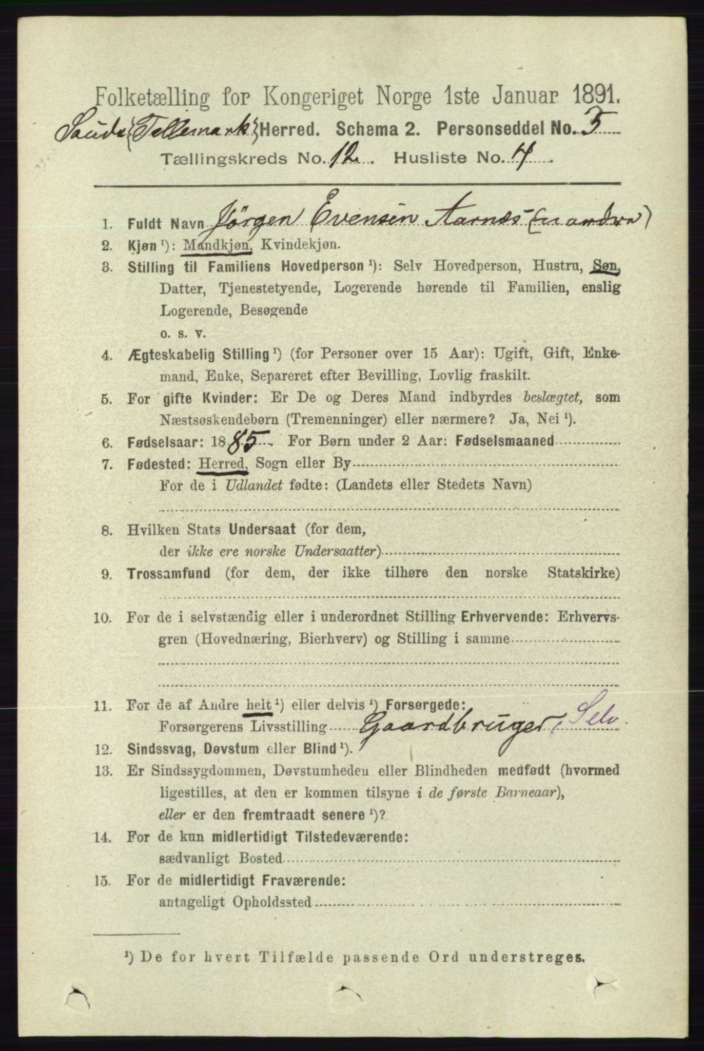 RA, 1891 census for 0822 Sauherad, 1891, p. 3640