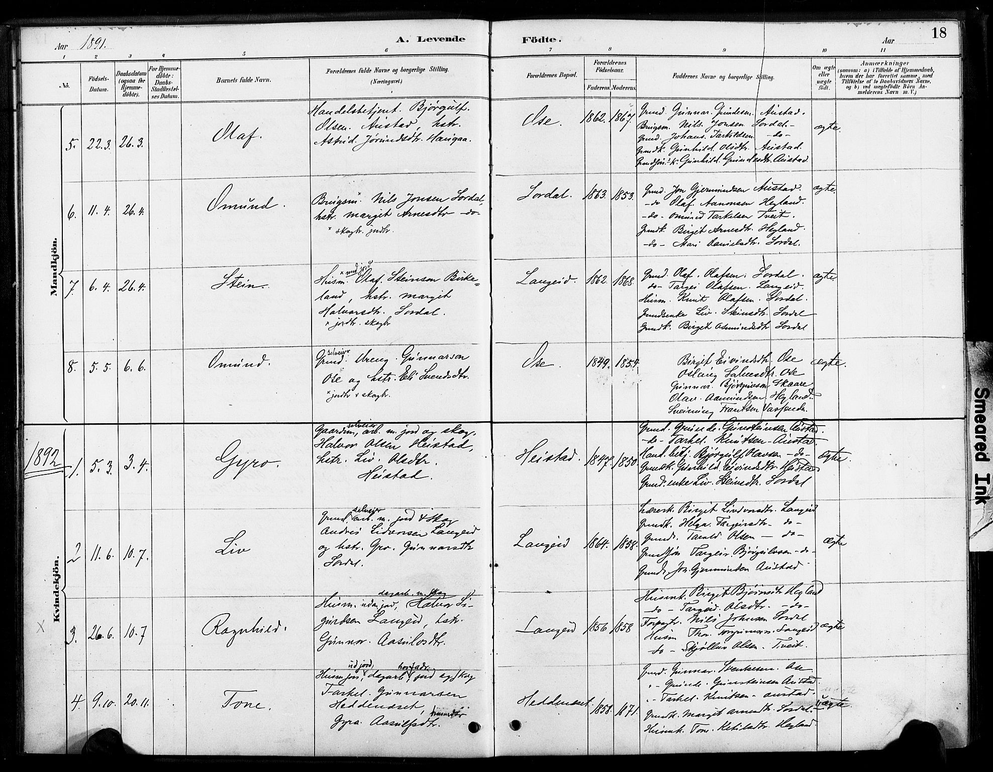 Bygland sokneprestkontor, SAK/1111-0006/F/Fa/Faa/L0001: Parish register (official) no. A 1, 1885-1908, p. 18