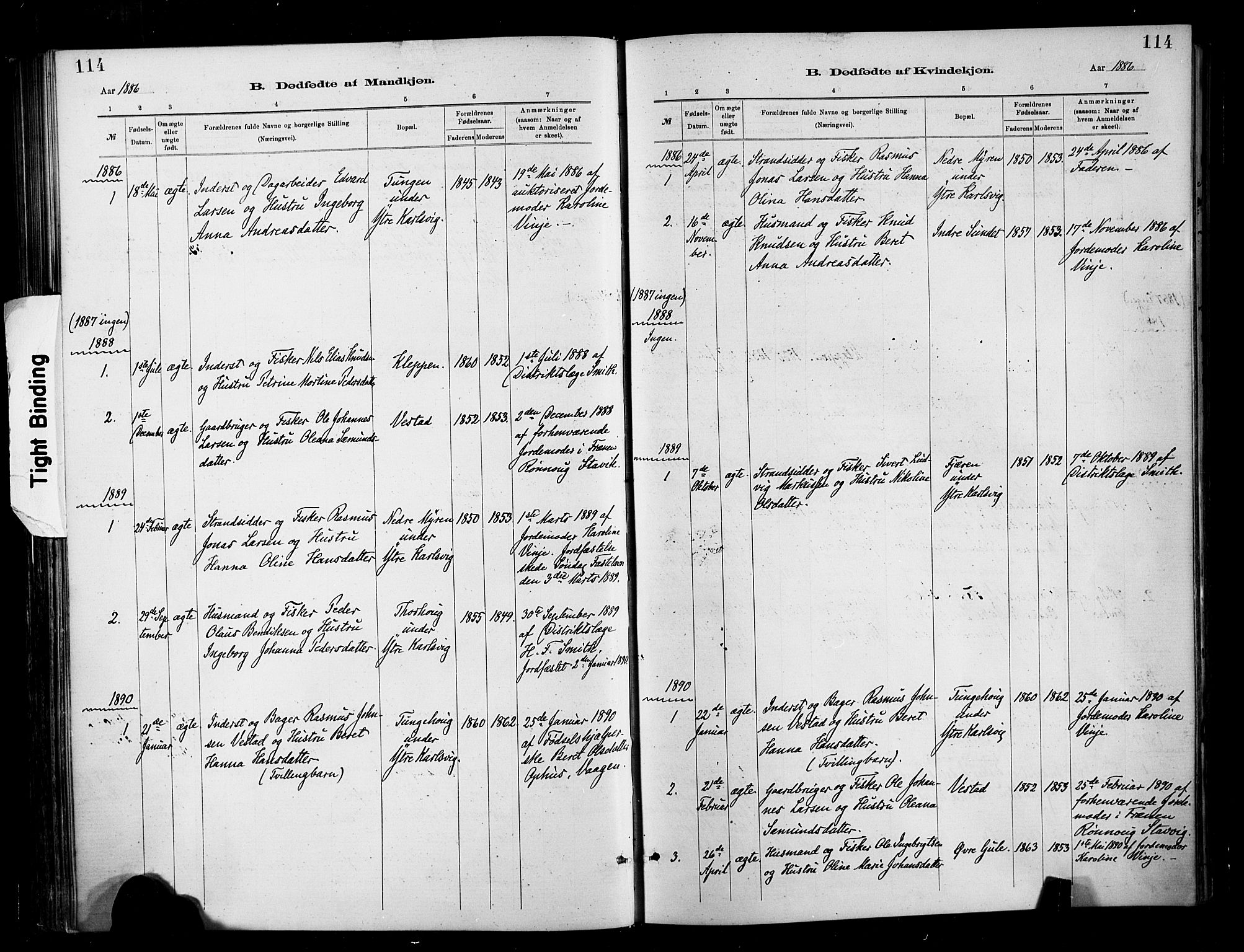 Ministerialprotokoller, klokkerbøker og fødselsregistre - Møre og Romsdal, SAT/A-1454/566/L0769: Parish register (official) no. 566A08, 1881-1903, p. 114