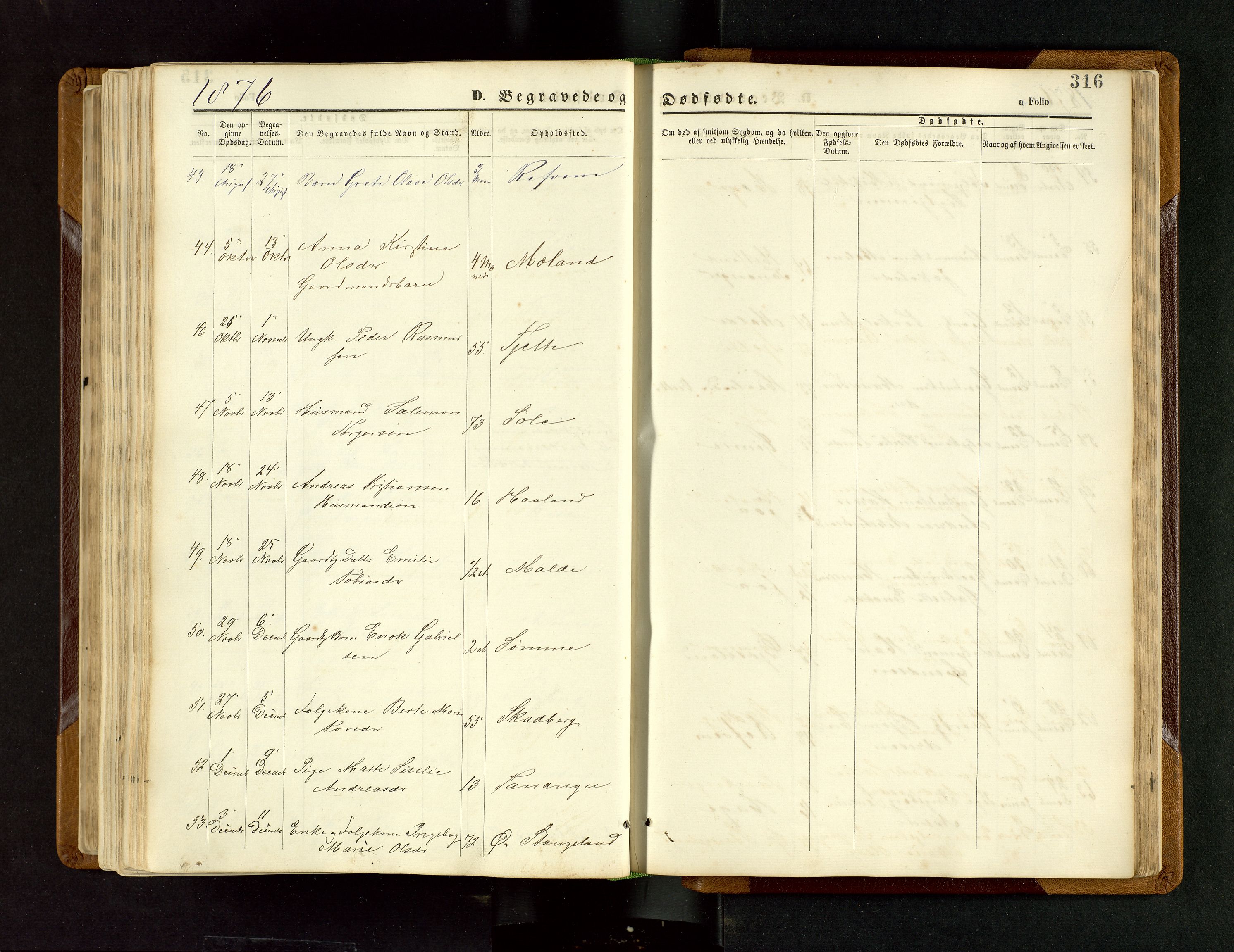 Håland sokneprestkontor, AV/SAST-A-101802/001/30BB/L0003: Parish register (copy) no. B 3, 1873-1893, p. 316