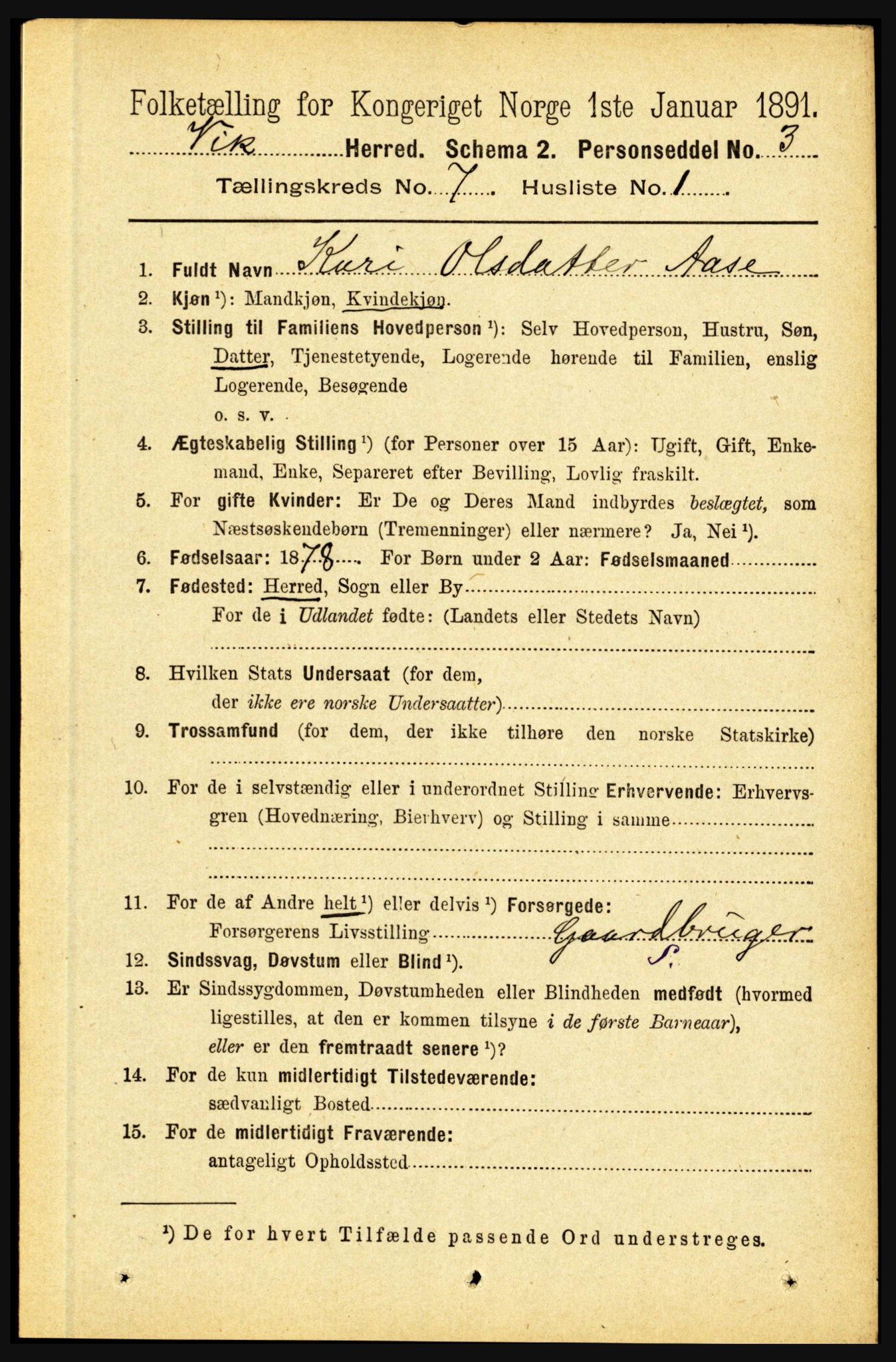 RA, 1891 census for 1417 Vik, 1891, p. 3229