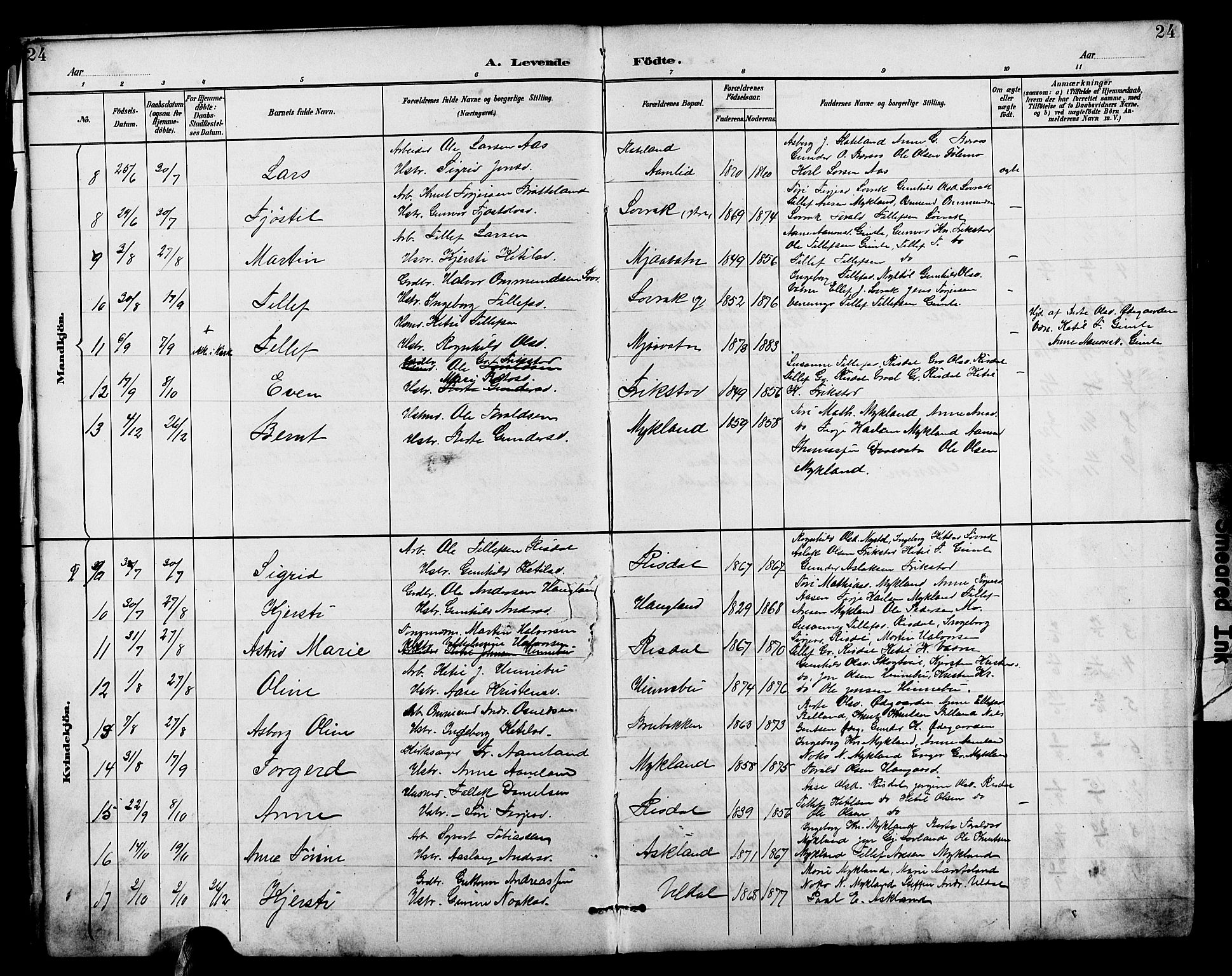 Herefoss sokneprestkontor, AV/SAK-1111-0019/F/Fb/Fbc/L0003: Parish register (copy) no. B 3, 1887-1915, p. 24