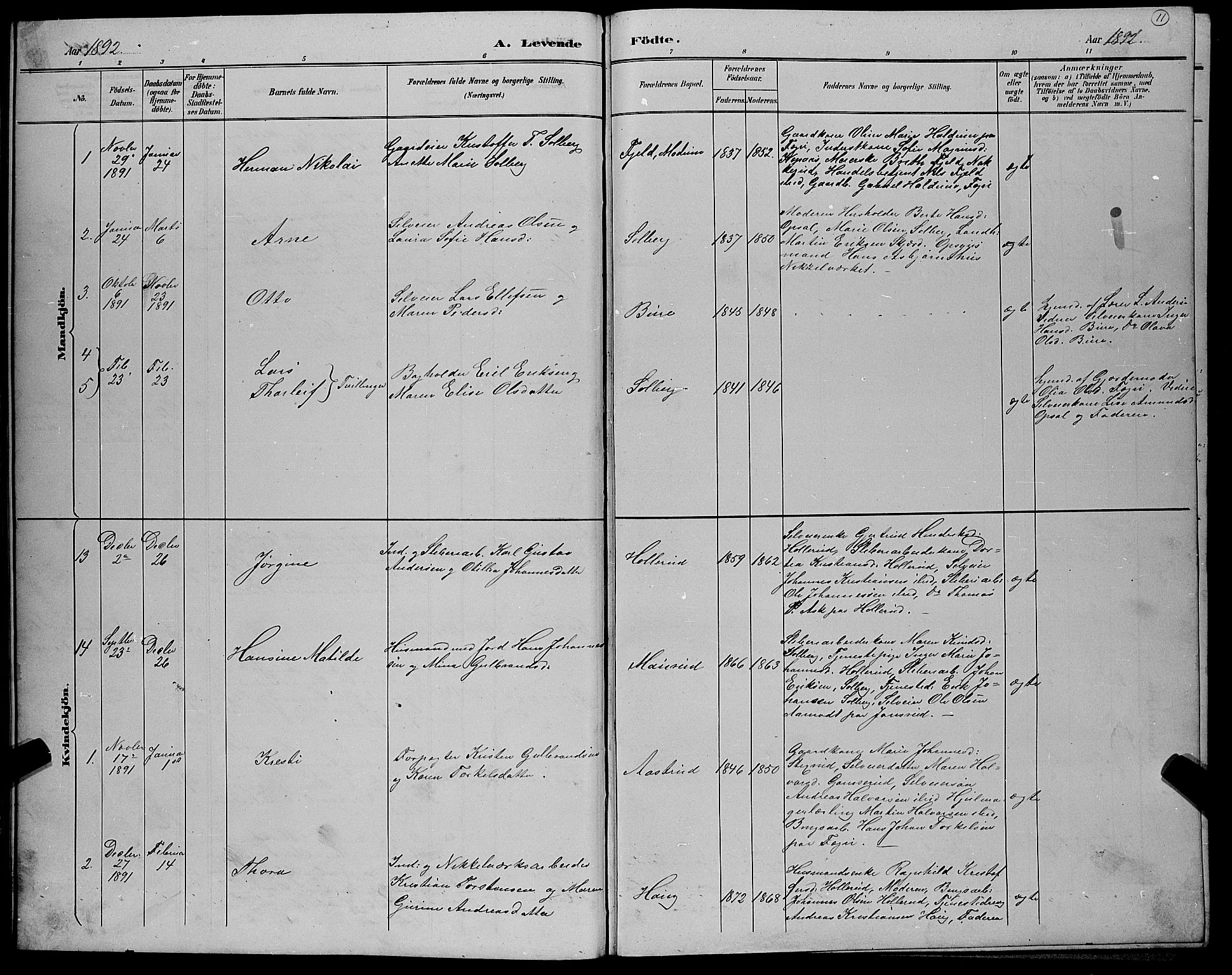 Hole kirkebøker, AV/SAKO-A-228/G/Gb/L0003: Parish register (copy) no. II 3, 1890-1901, p. 11