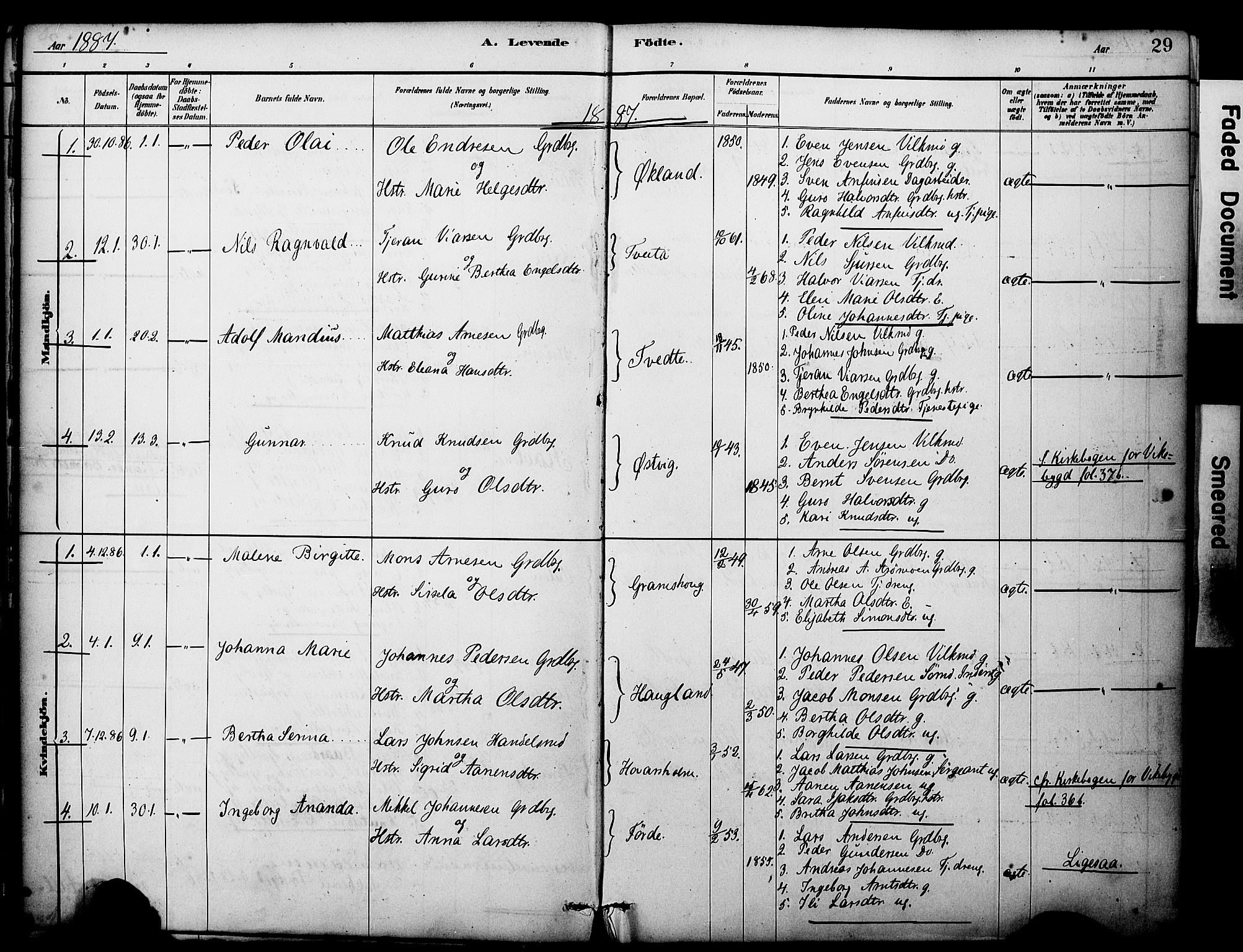 Sveio Sokneprestembete, AV/SAB-A-78501/H/Haa: Parish register (official) no. C 2, 1881-1899, p. 29