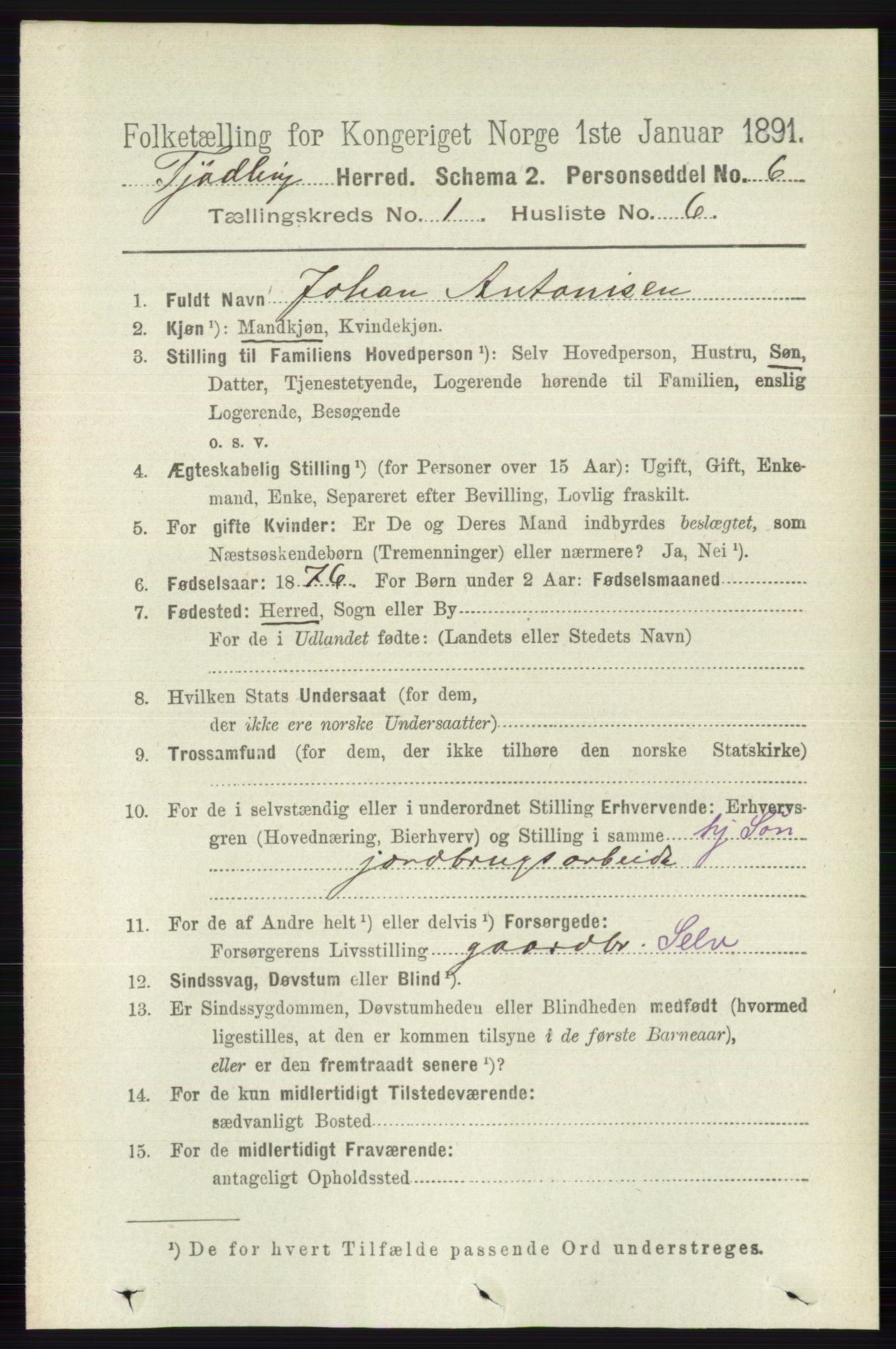 RA, 1891 census for 0725 Tjølling, 1891, p. 129