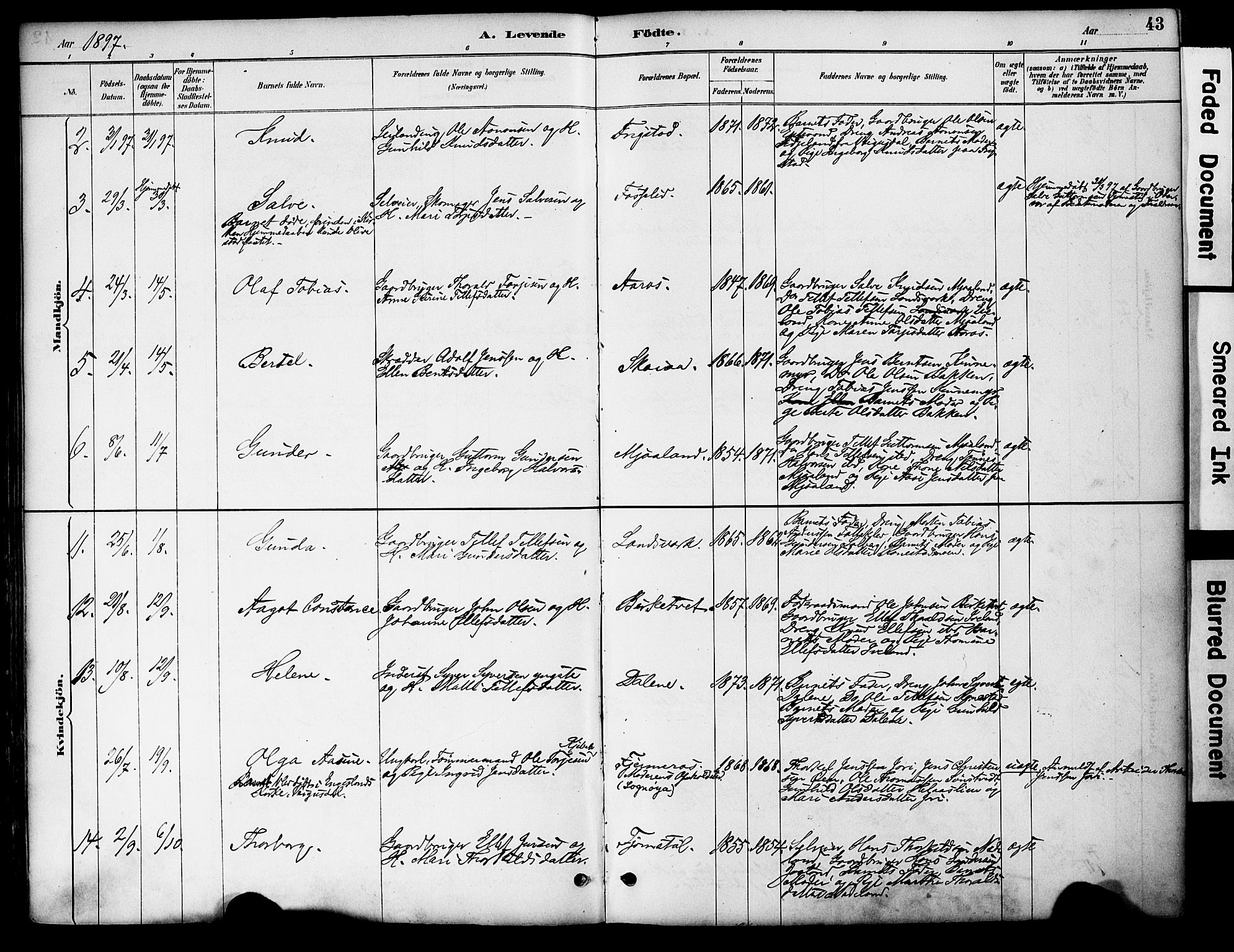 Evje sokneprestkontor, AV/SAK-1111-0008/F/Fa/Fac/L0003: Parish register (official) no. A 3, 1884-1909, p. 43