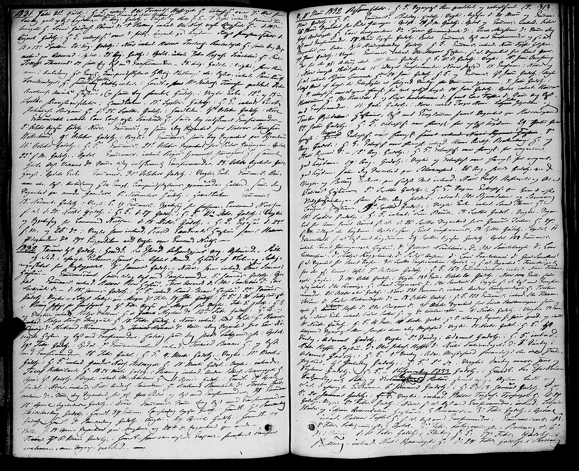 Rollag kirkebøker, SAKO/A-240/F/Fa/L0007: Parish register (official) no. I 7, 1828-1847, p. 313