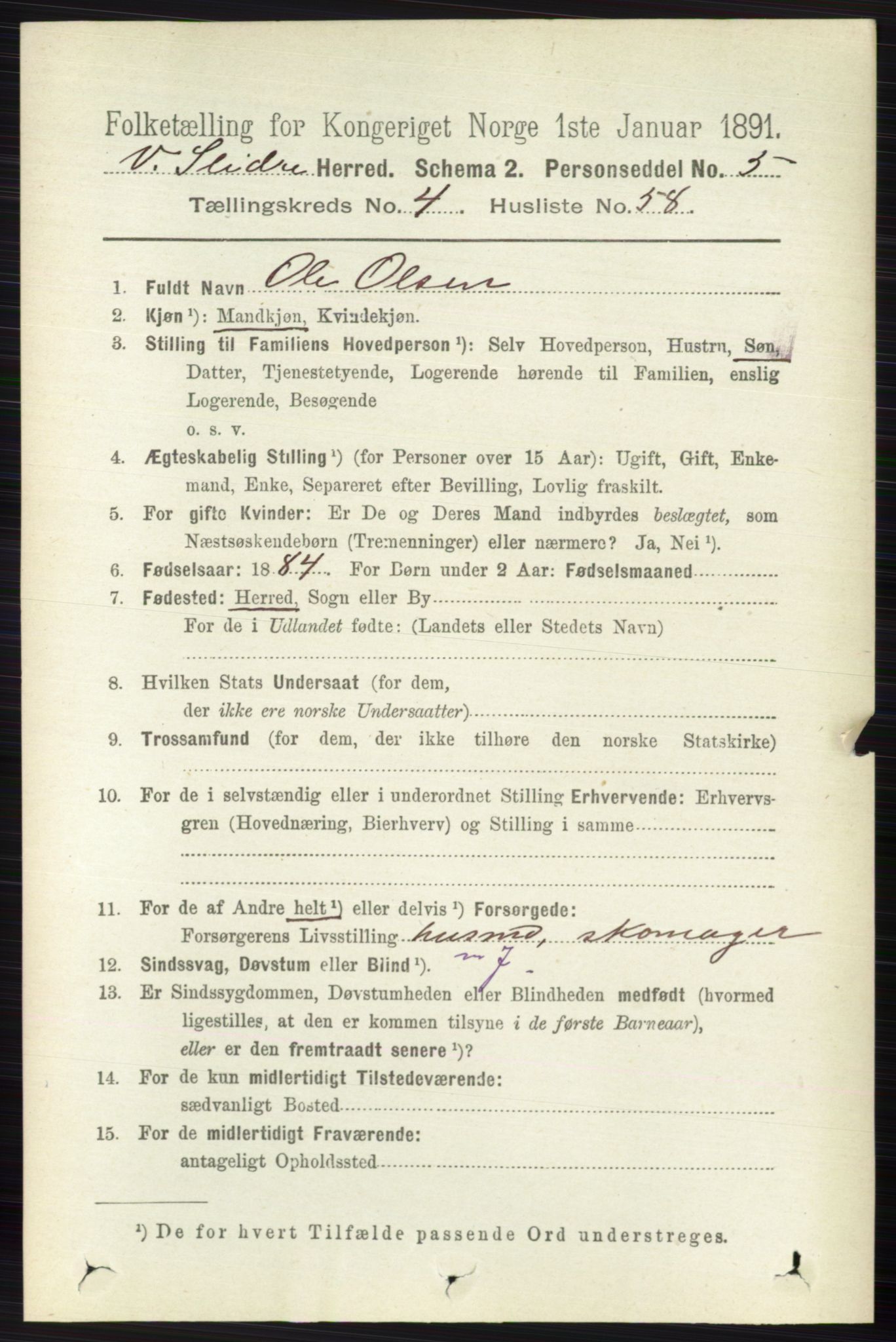 RA, 1891 census for 0543 Vestre Slidre, 1891, p. 1594