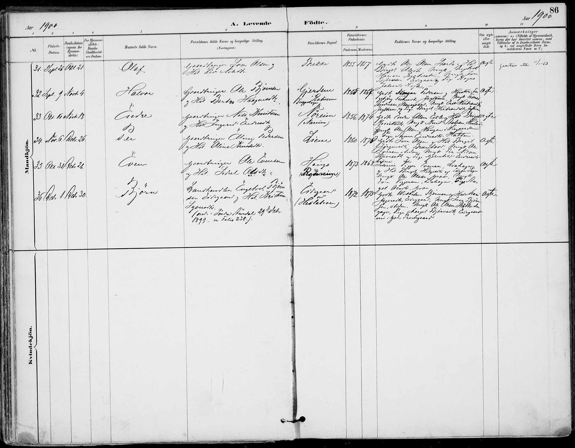 Gol kirkebøker, AV/SAKO-A-226/F/Fa/L0005: Parish register (official) no. I 5, 1887-1900, p. 86