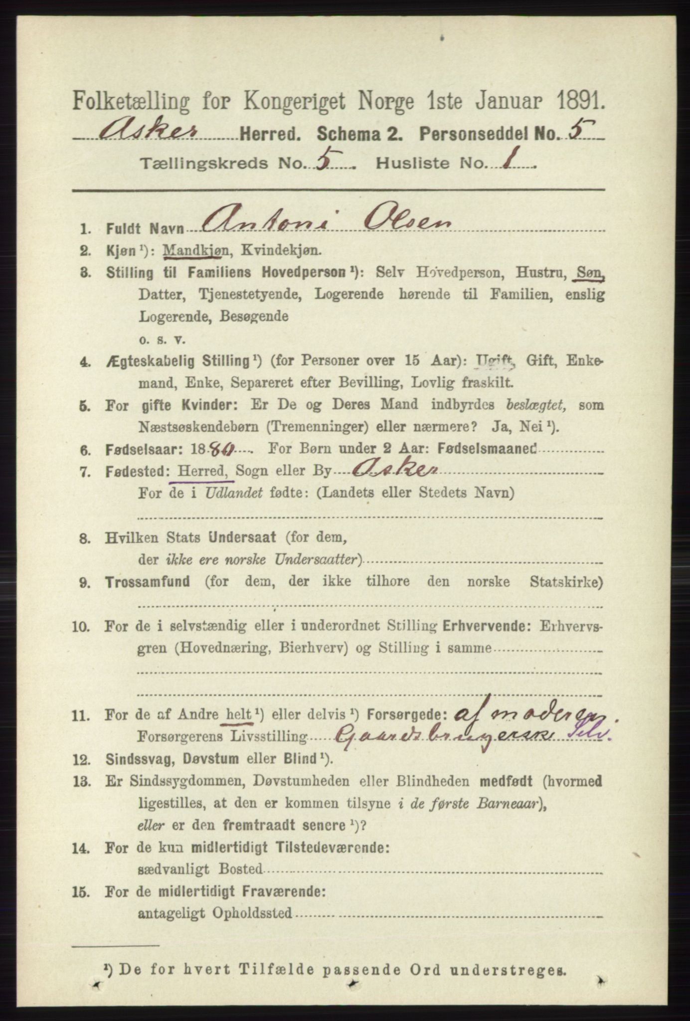 RA, 1891 census for 0220 Asker, 1891, p. 3673