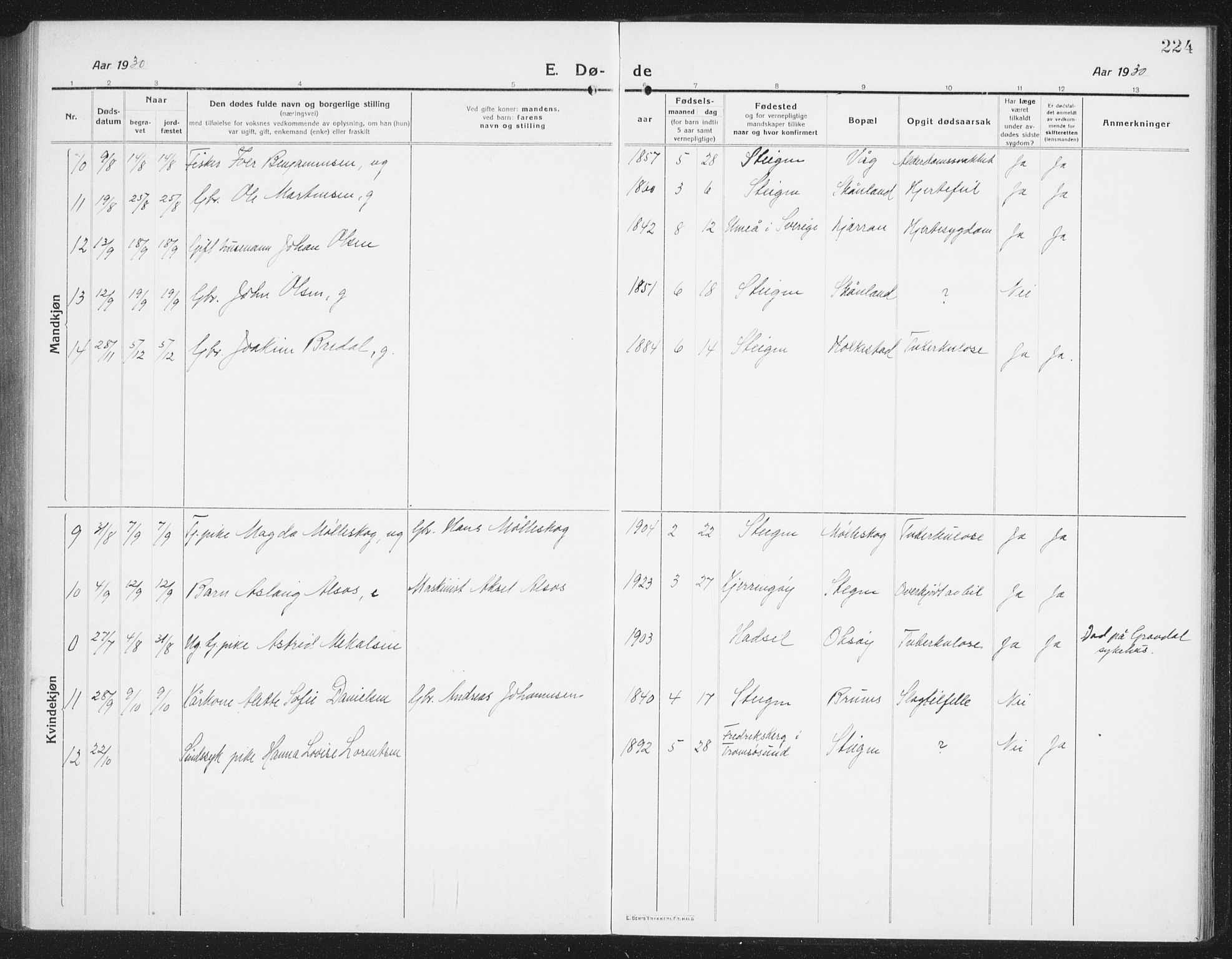 Ministerialprotokoller, klokkerbøker og fødselsregistre - Nordland, AV/SAT-A-1459/855/L0817: Parish register (copy) no. 855C06, 1917-1934, p. 224