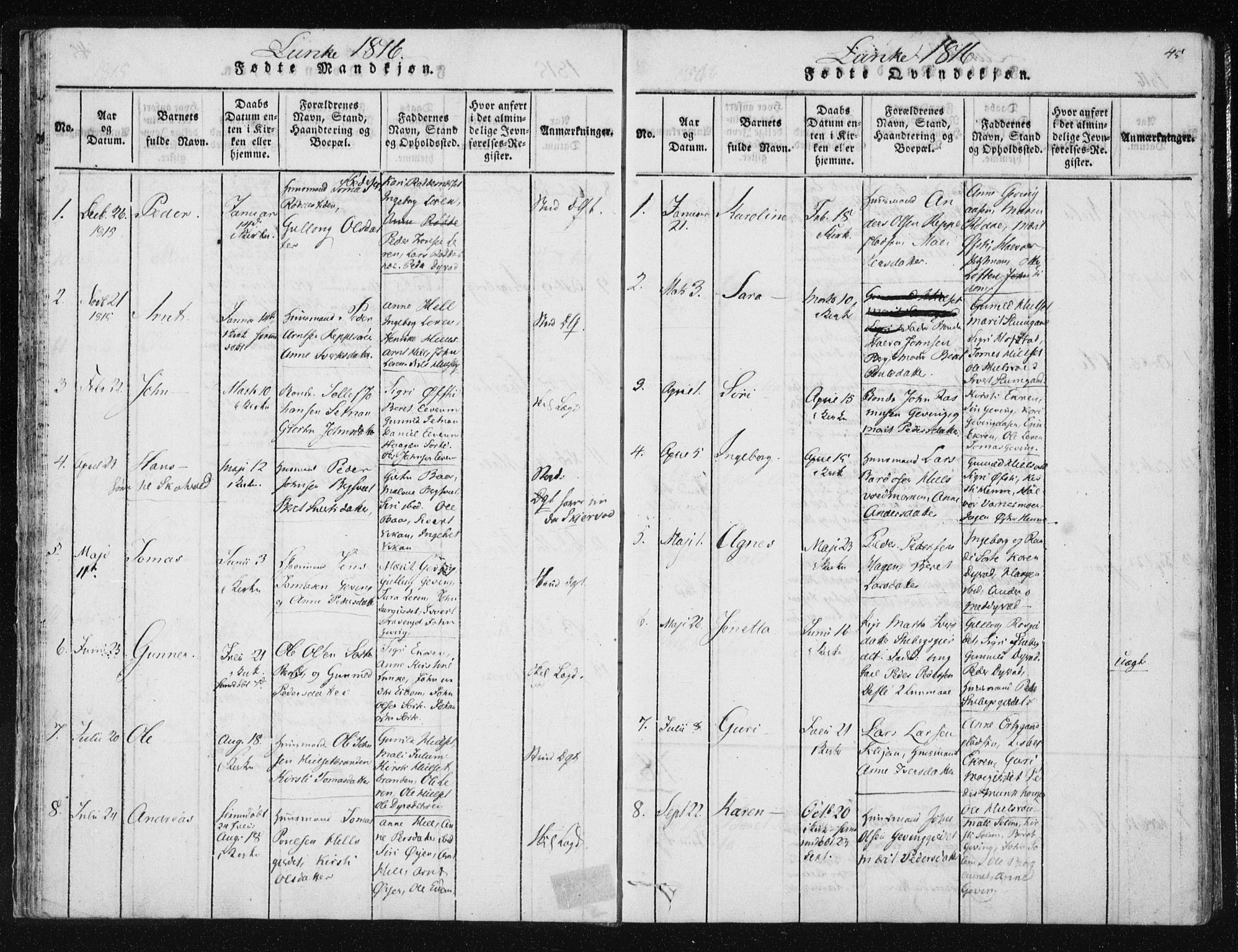 Ministerialprotokoller, klokkerbøker og fødselsregistre - Nord-Trøndelag, SAT/A-1458/709/L0061: Parish register (official) no. 709A08 /3, 1815-1819, p. 45