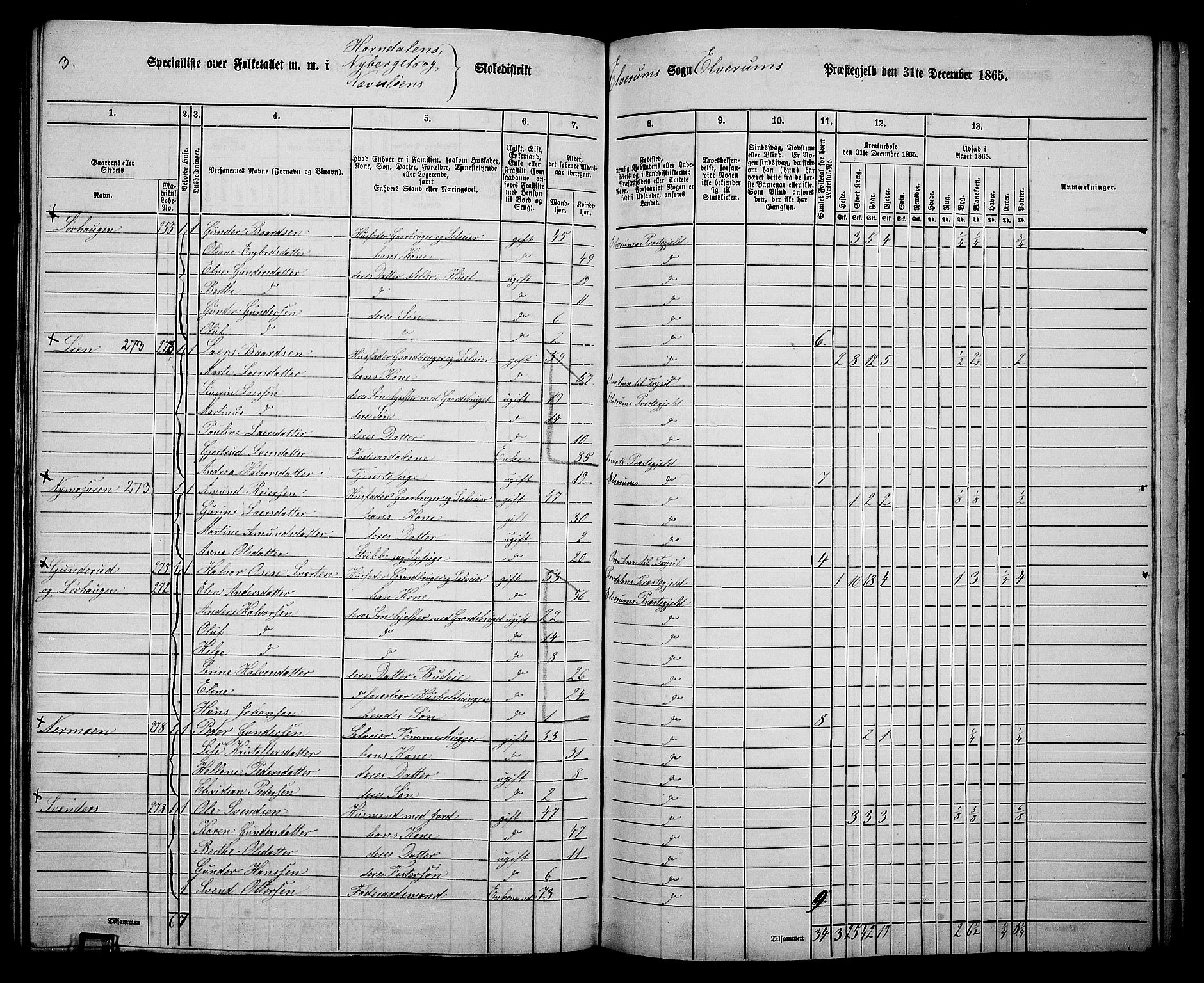 RA, 1865 census for Elverum, 1865, p. 200