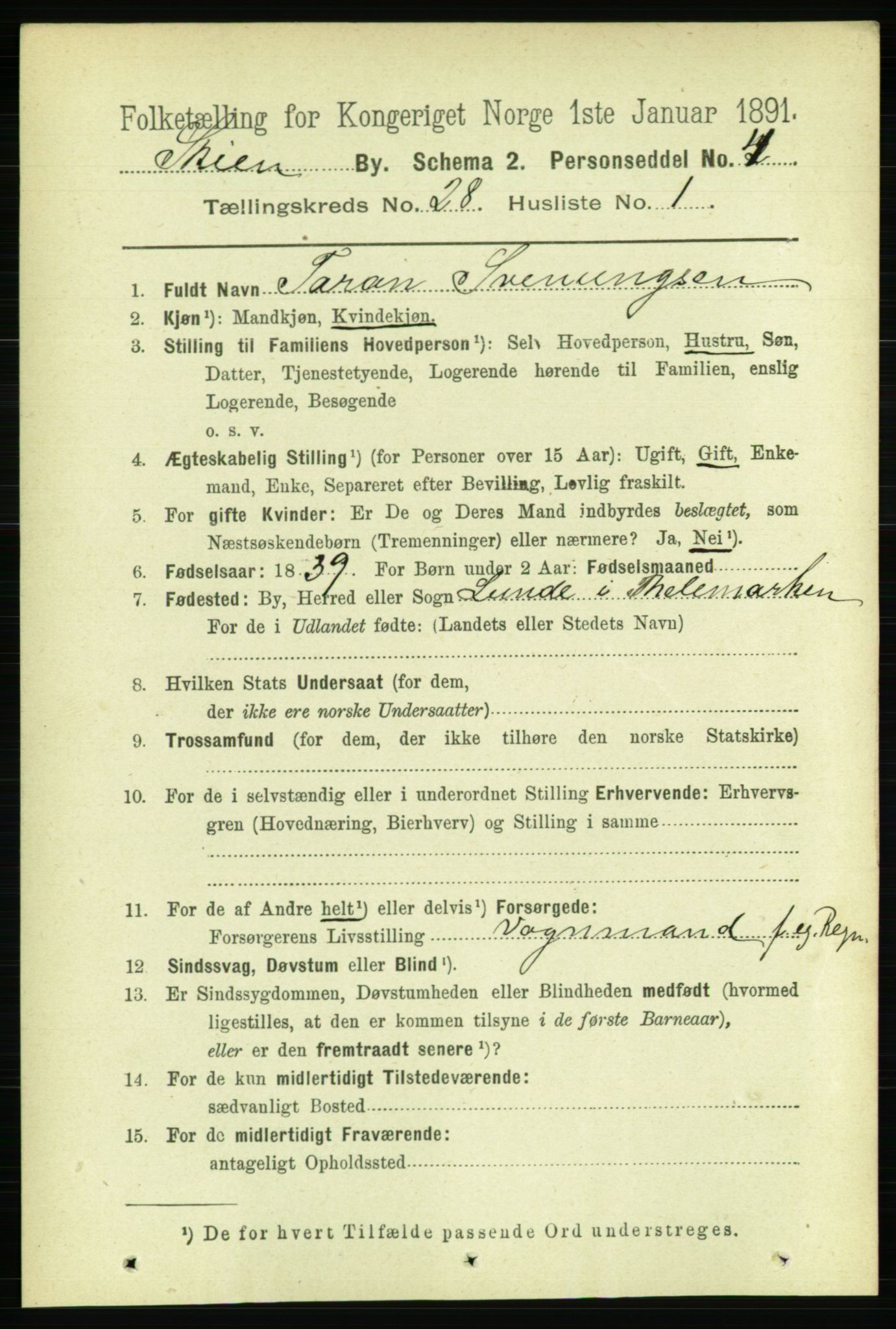 RA, 1891 census for 0806 Skien, 1891, p. 6499