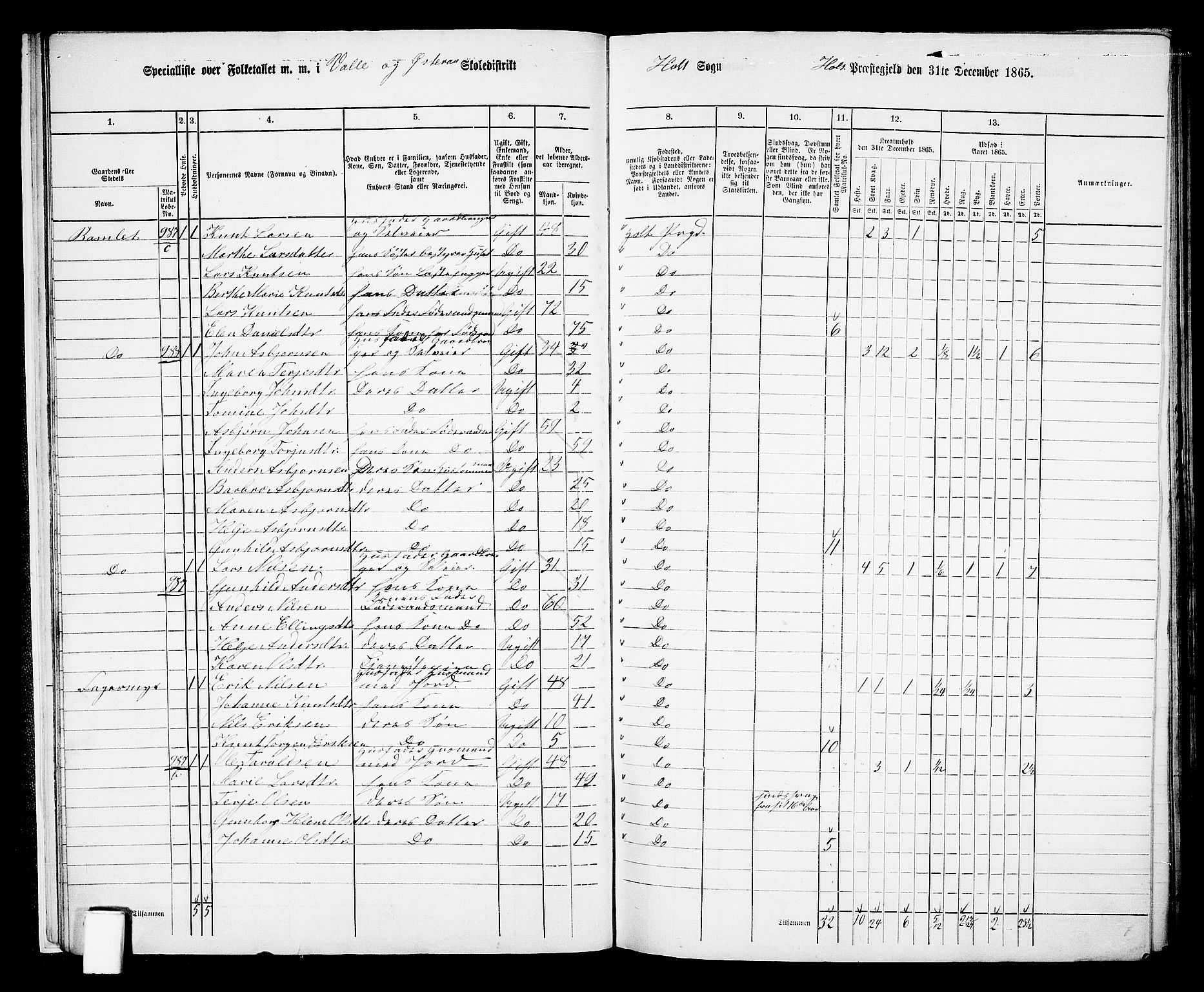 RA, 1865 census for Holt/Holt, 1865, p. 20