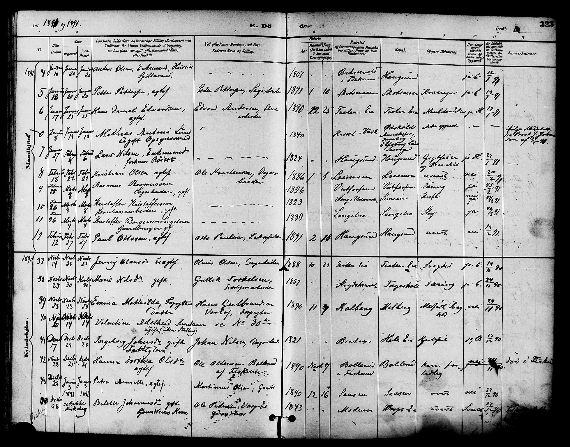 Eiker kirkebøker, AV/SAKO-A-4/F/Fb/L0002: Parish register (official) no. II 2, 1889-1896, p. 323