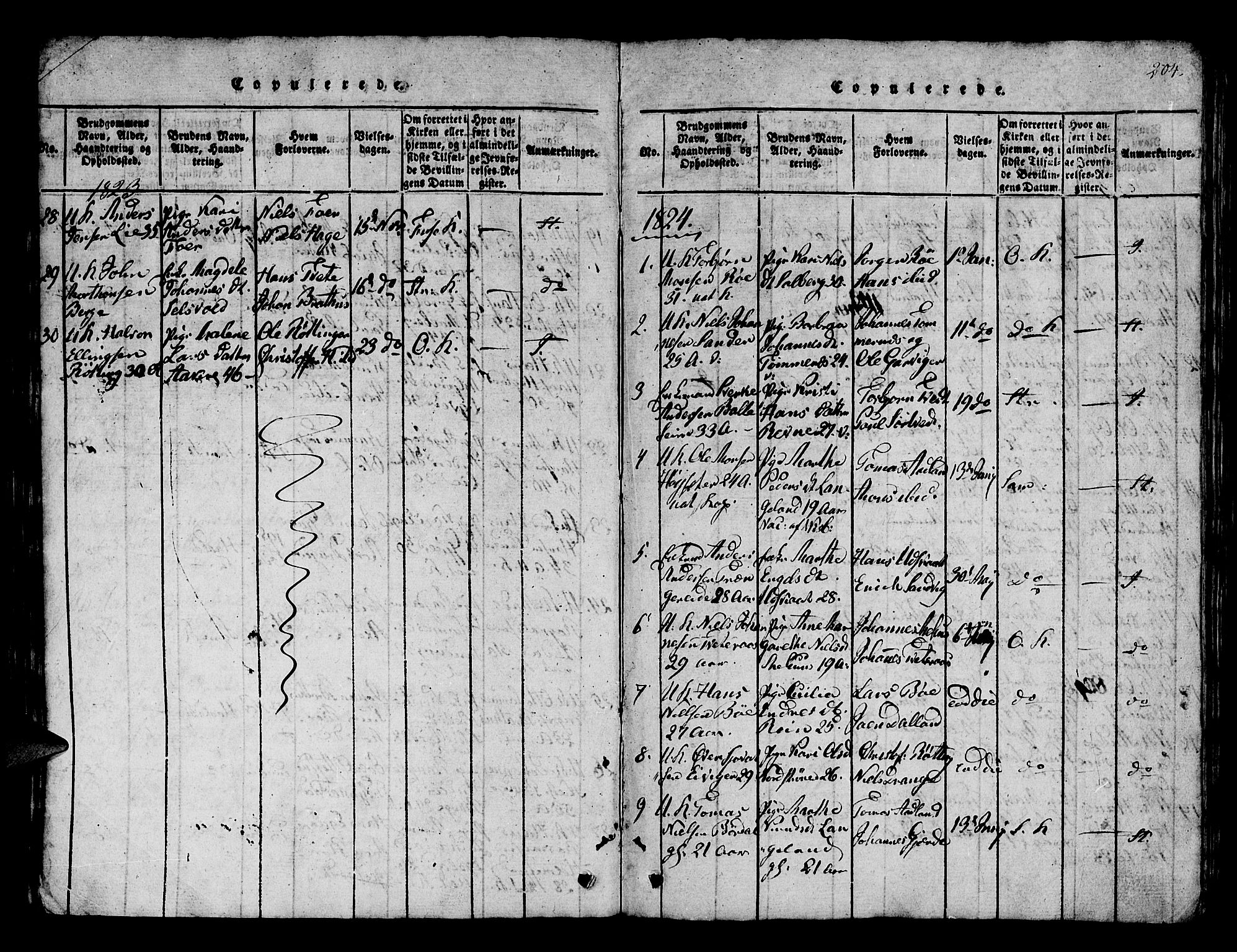 Os sokneprestembete, SAB/A-99929: Parish register (official) no. A 12, 1816-1825, p. 204