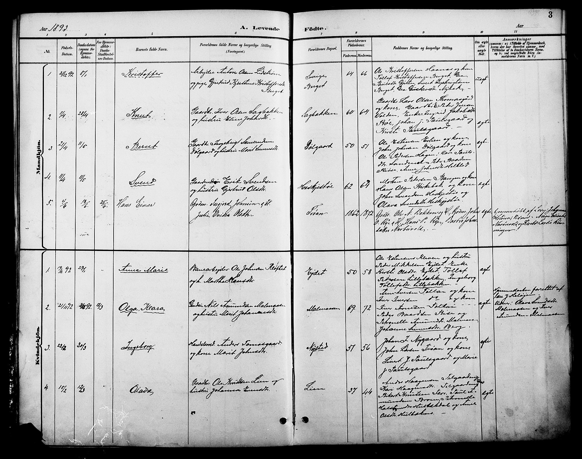 Tolga prestekontor, AV/SAH-PREST-062/L/L0009: Parish register (copy) no. 9, 1892-1919, p. 3