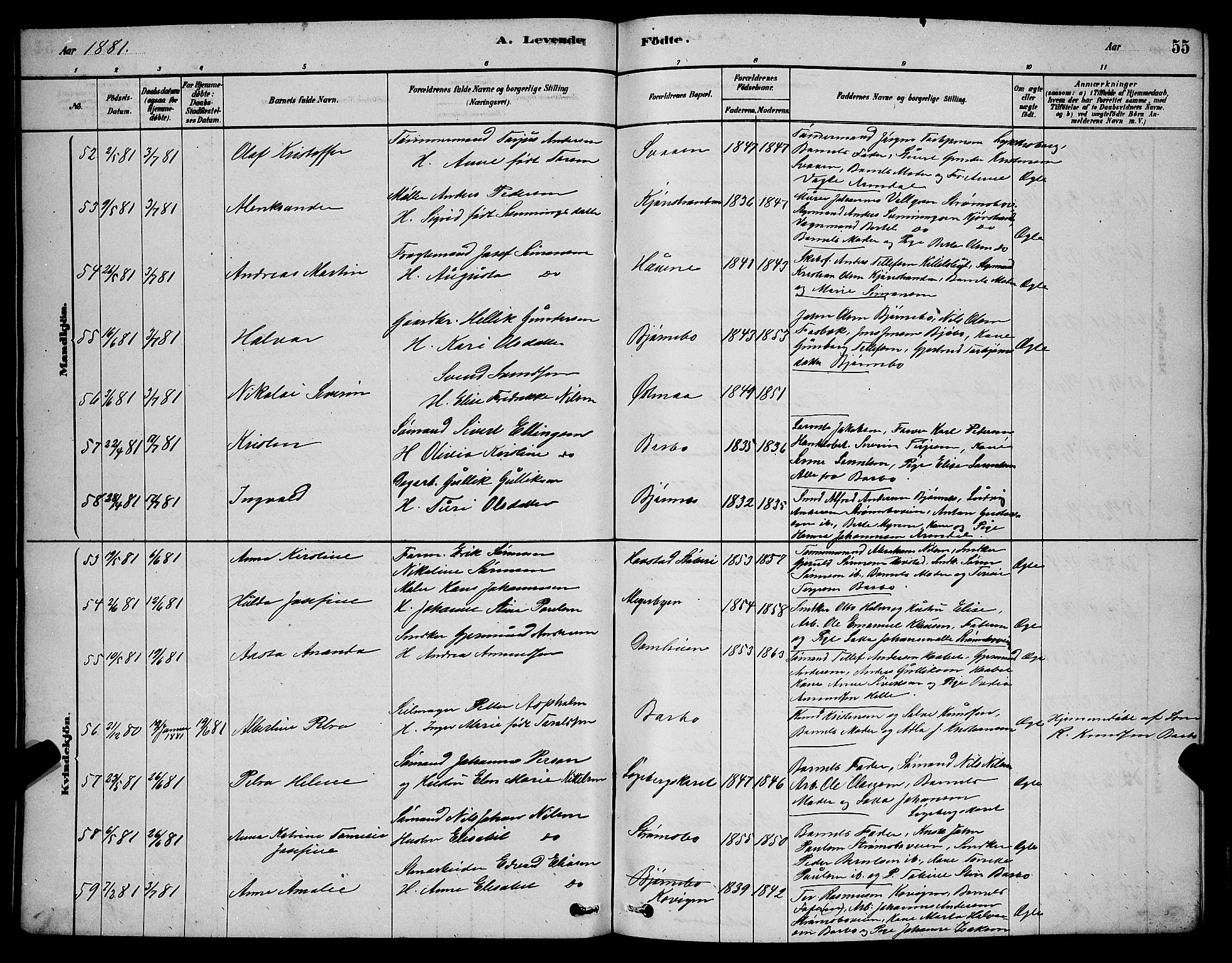 Barbu sokneprestkontor, AV/SAK-1111-0003/F/Fb/L0001: Parish register (copy) no. B 1, 1878-1890, p. 55