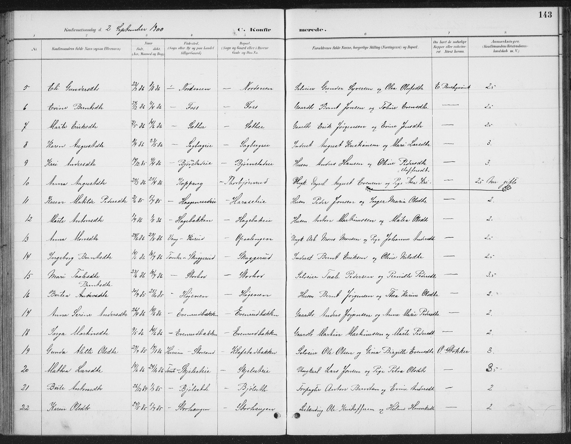 Romedal prestekontor, SAH/PREST-004/K/L0008: Parish register (official) no. 8, 1887-1905, p. 143